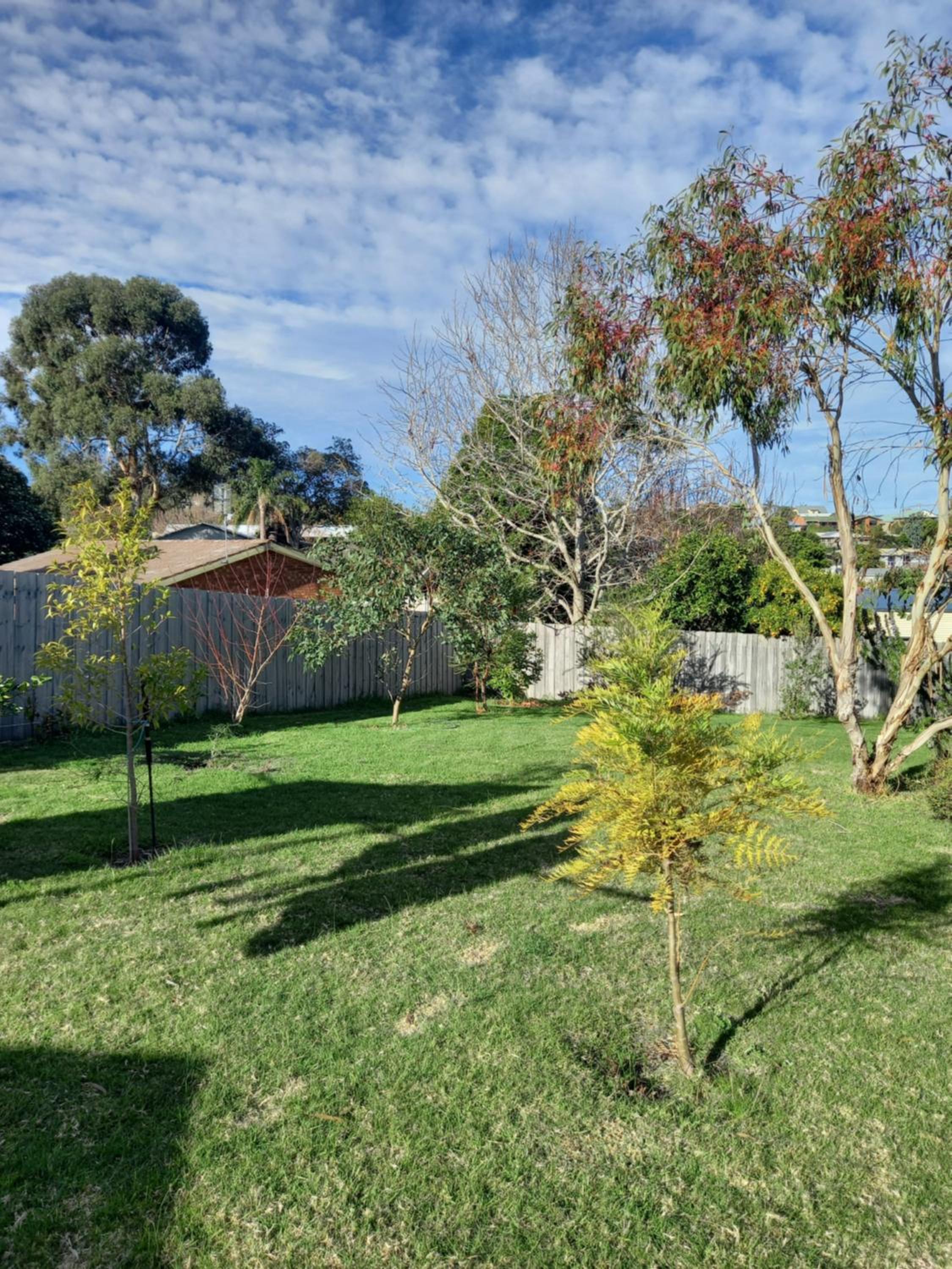Banksia Waters