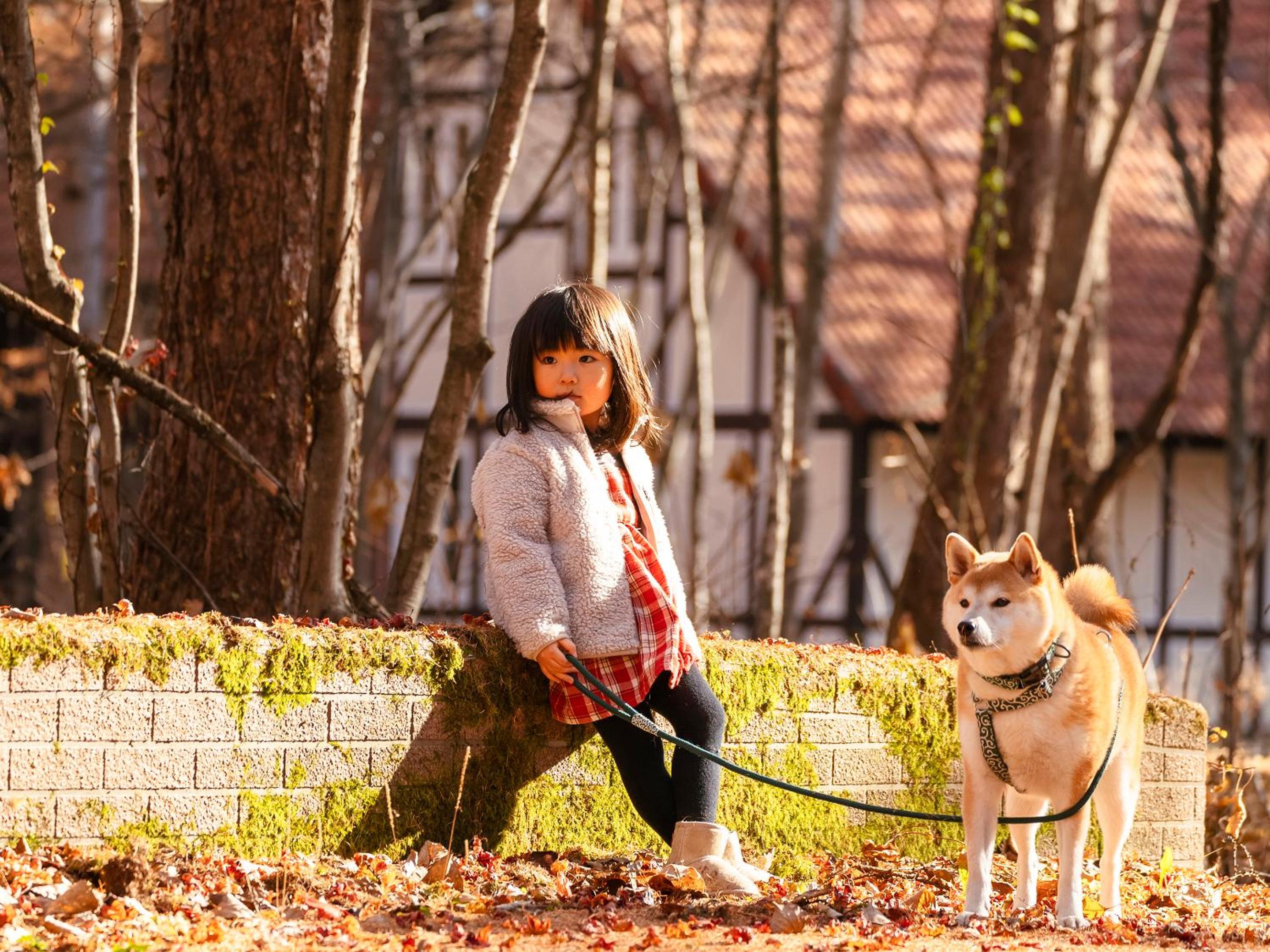 Tokachi Nakasatsunai Glamping Resort Feriendorf