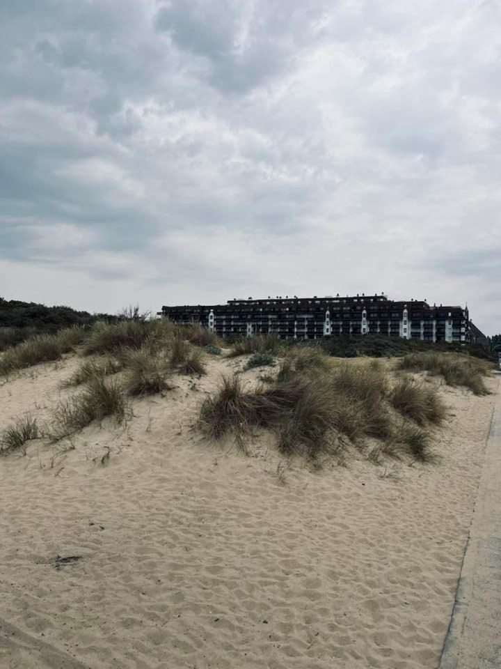 CREVETTE Gezellig appartement met zonnige terrassen en zeezicht - Toplocatie!