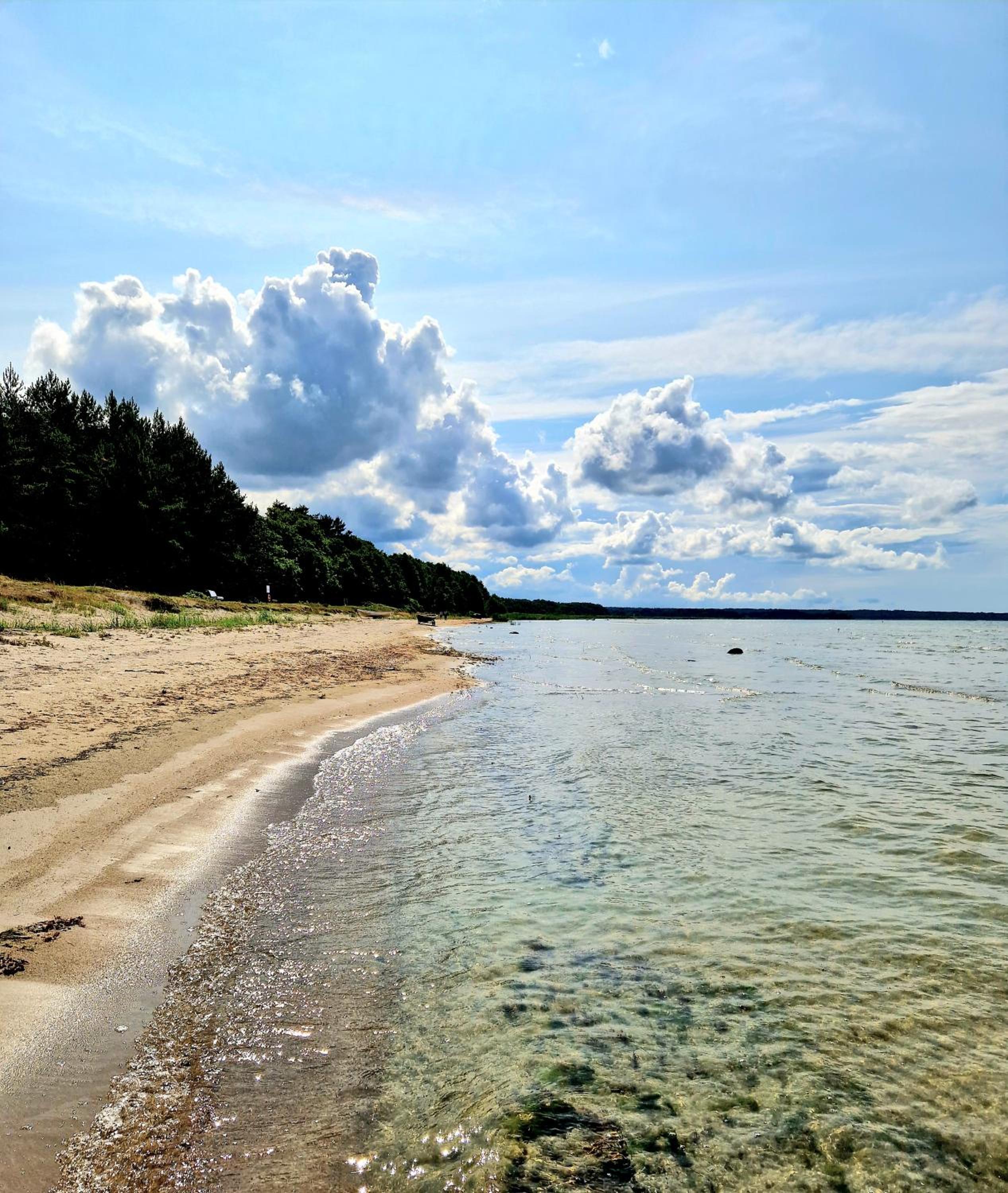 Elulille maja mere läheduses Lahemaa rüpes