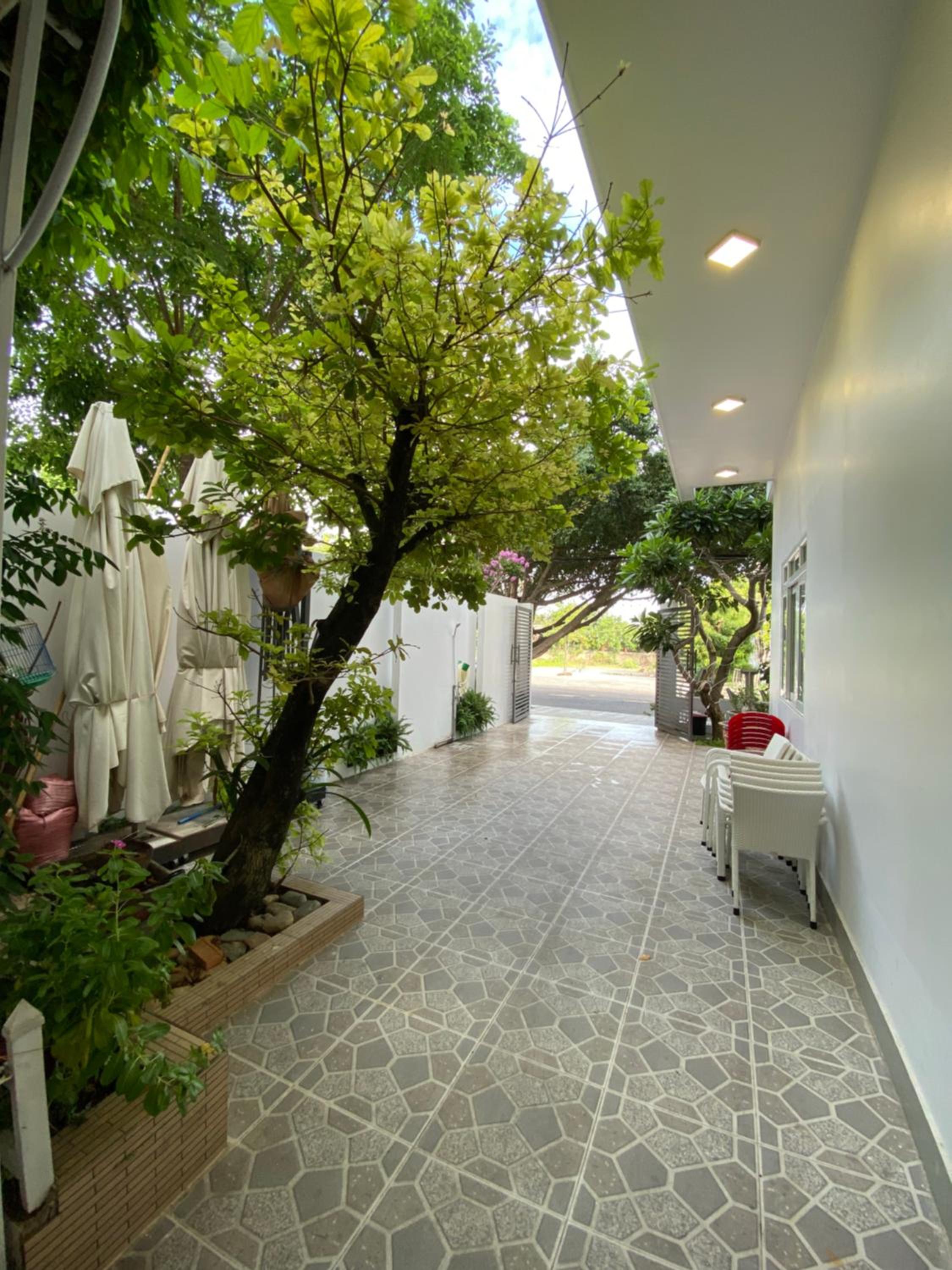 Photo 25
