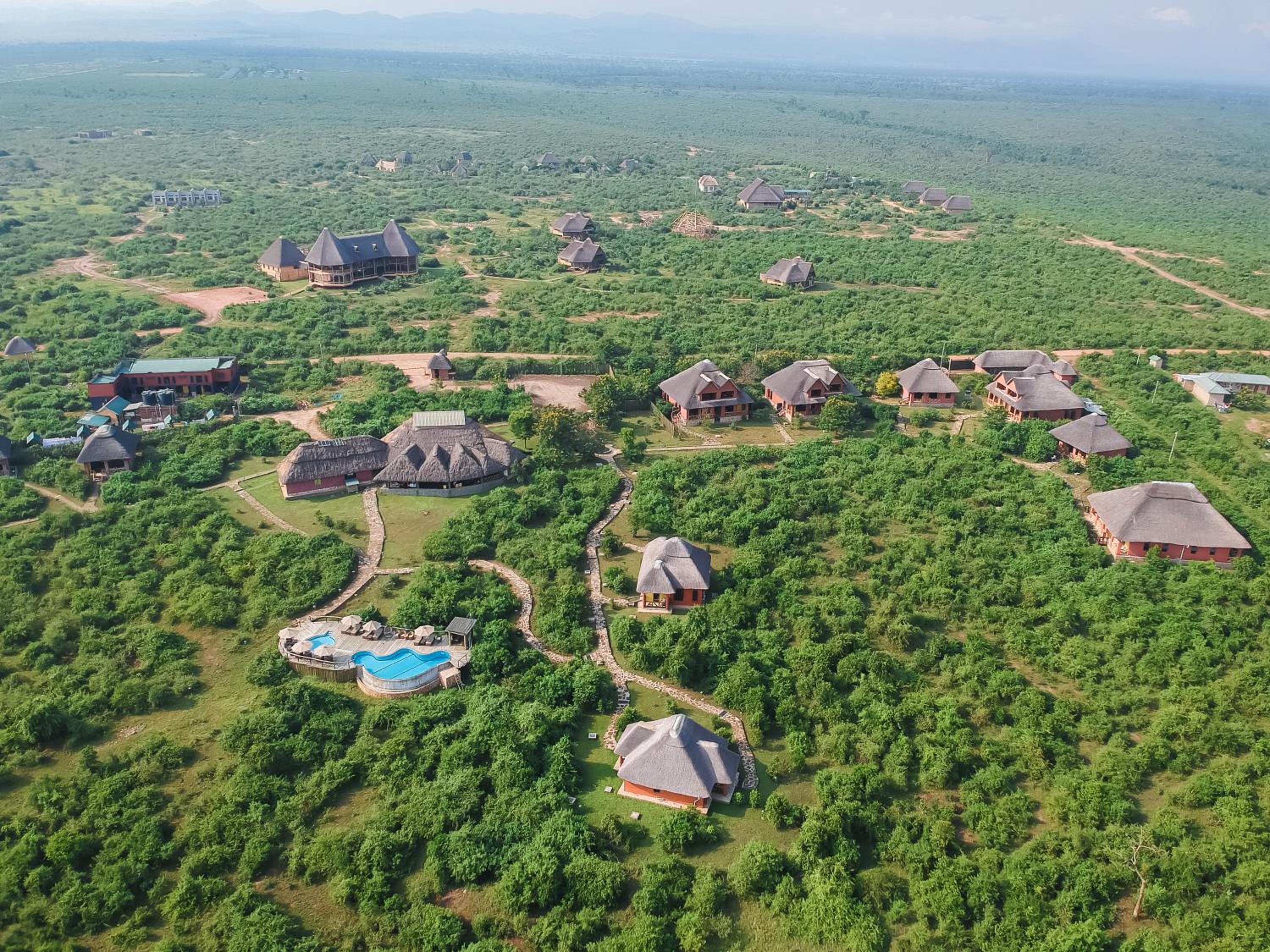 Buffalo Safari Lodge