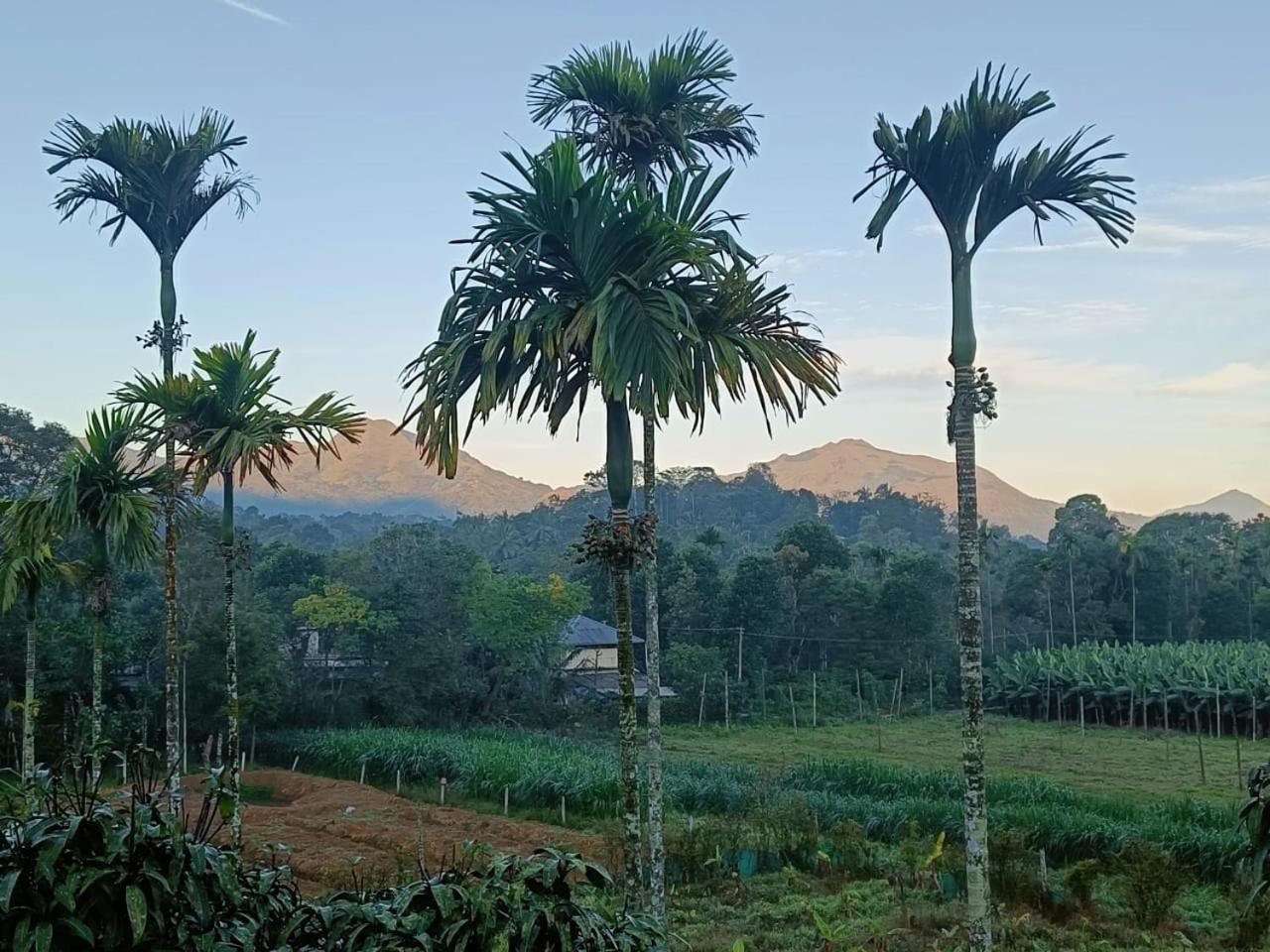 Nostalgia Homestay