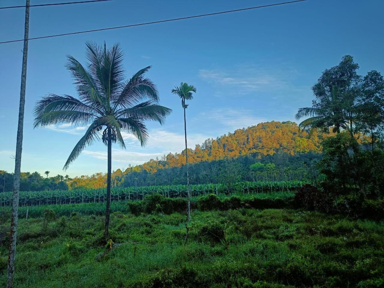 Nostalgia Homestay