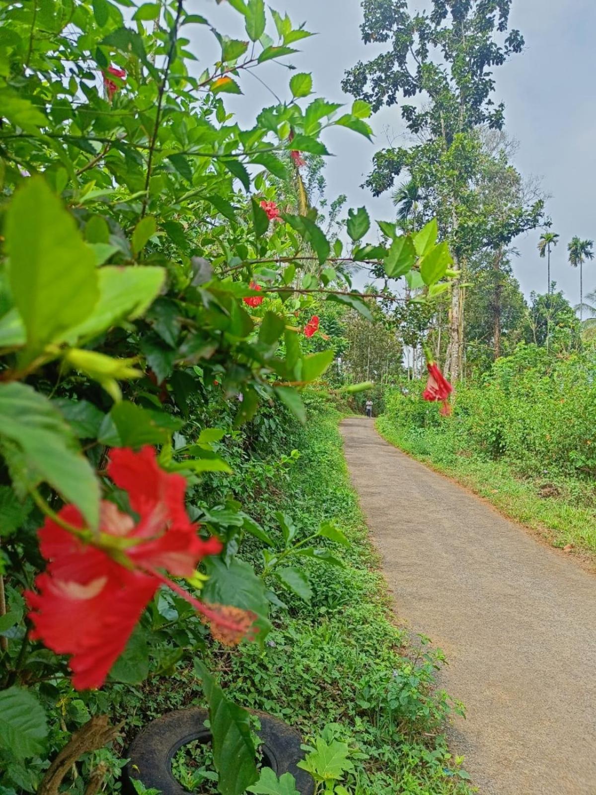 Nostalgia Homestay