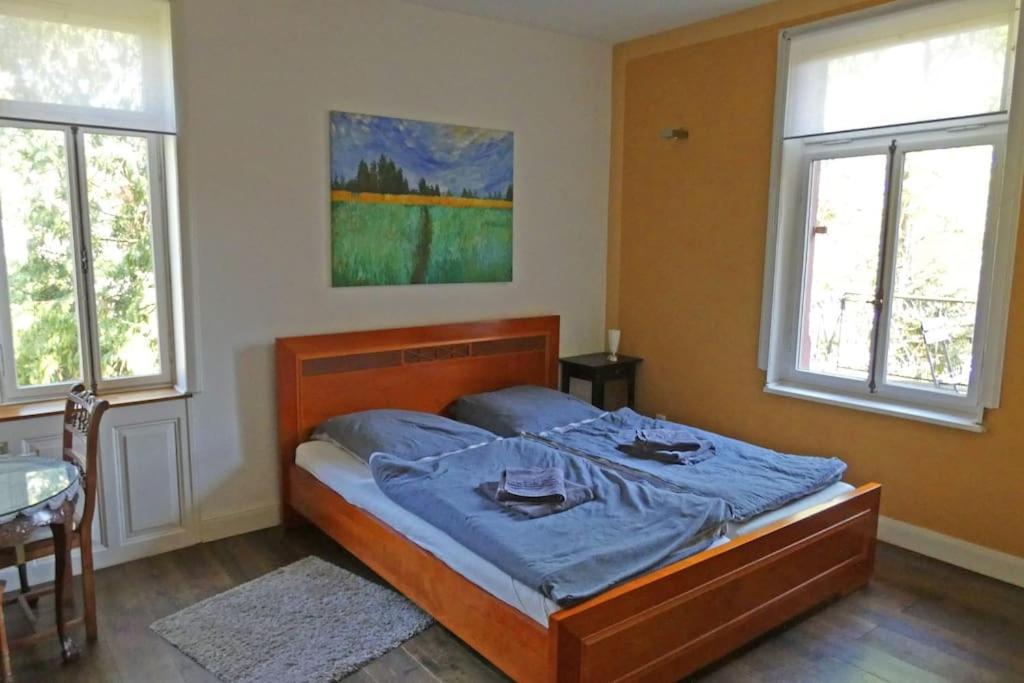 Herrschaftliches Apartment in historischer Villa