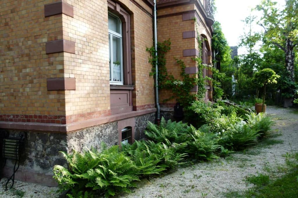 Herrschaftliches Apartment in historischer Villa