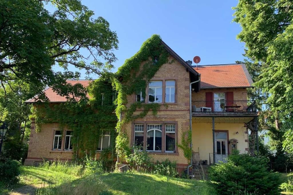 Herrschaftliches Apartment in historischer Villa
