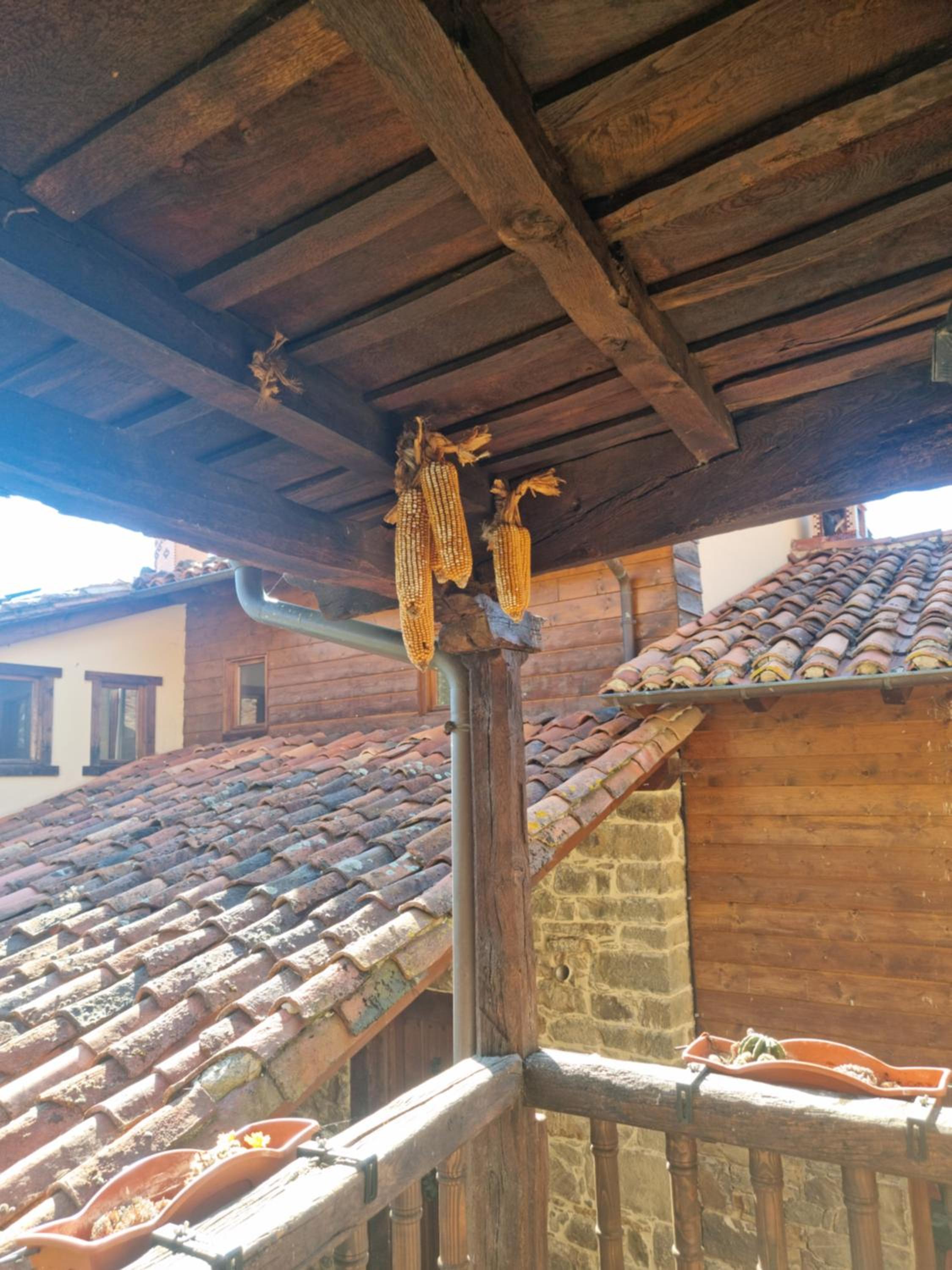 Photo 199