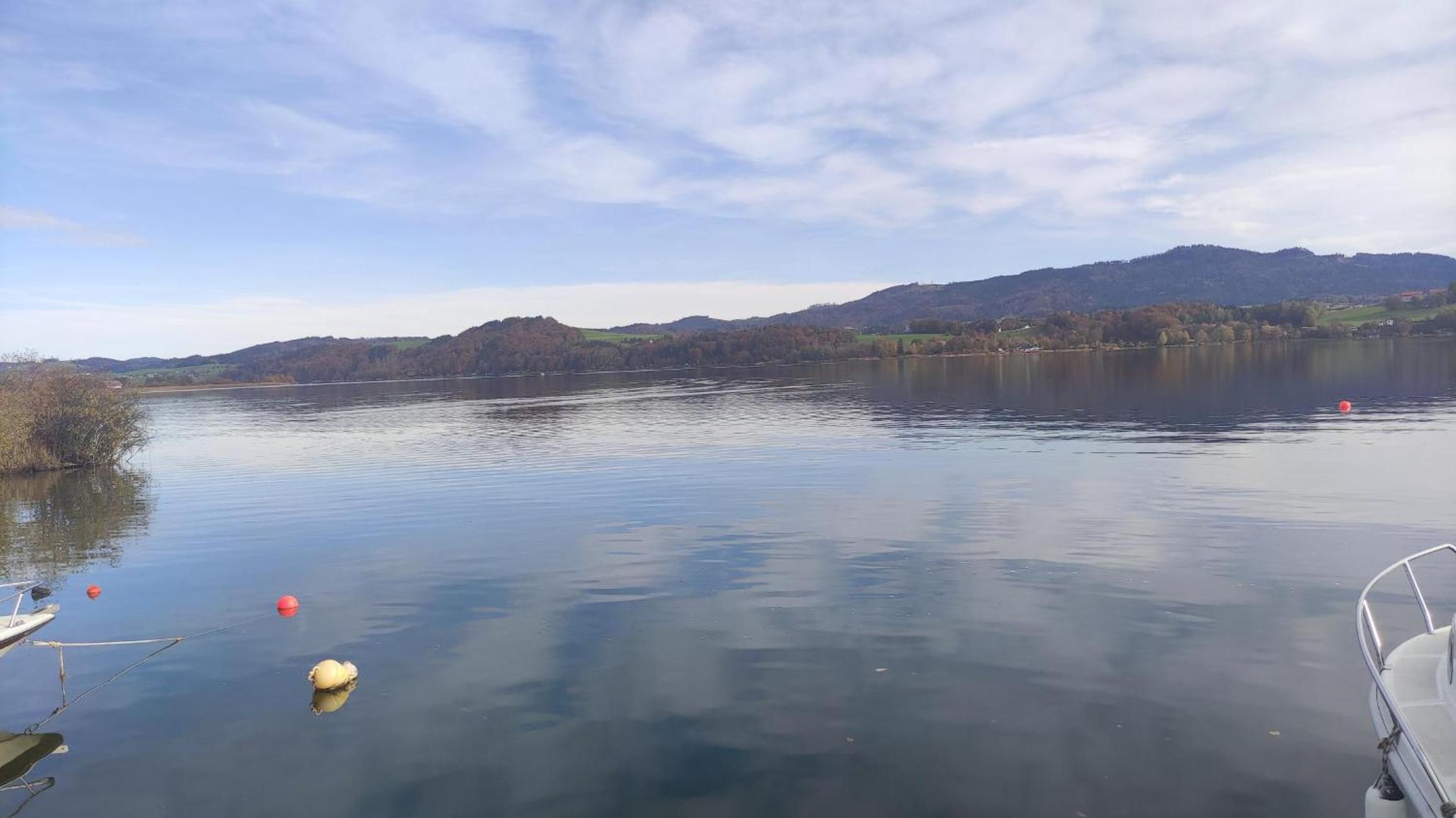 Glamping Wallersee - Unter dem Kastanienbaum