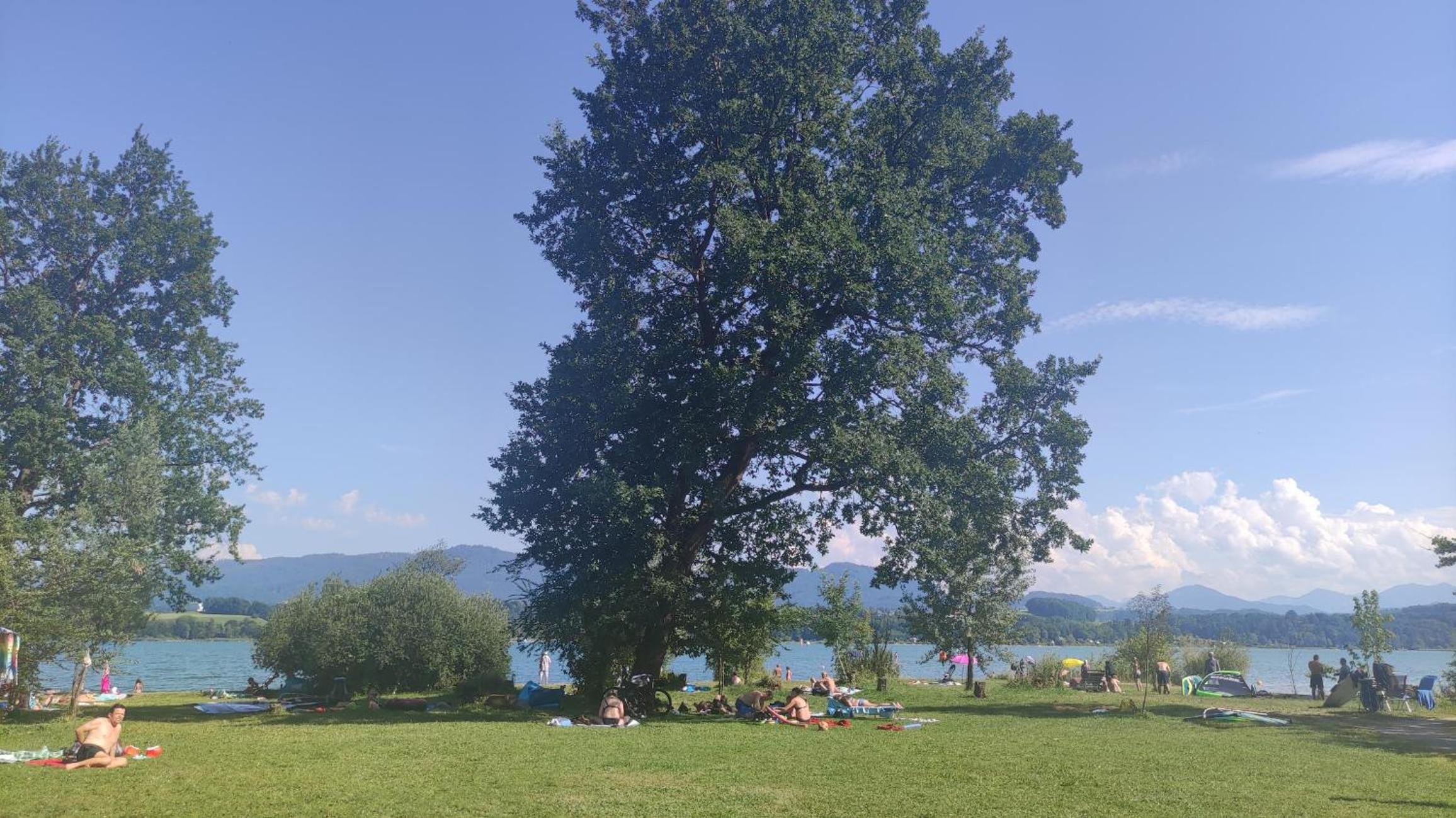 Glamping Wallersee - Unter dem Kastanienbaum