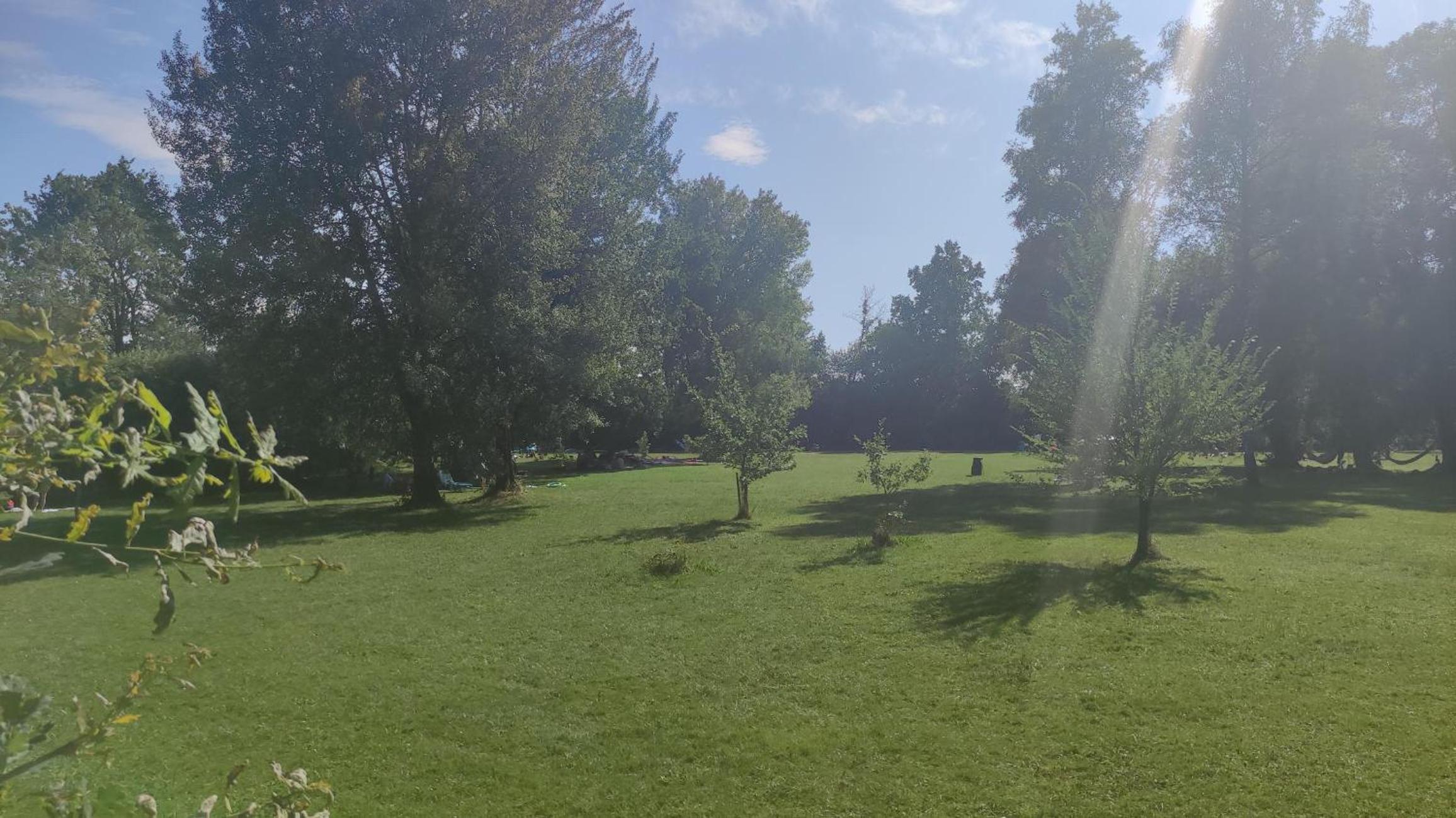 Glamping Wallersee - Unter dem Kastanienbaum