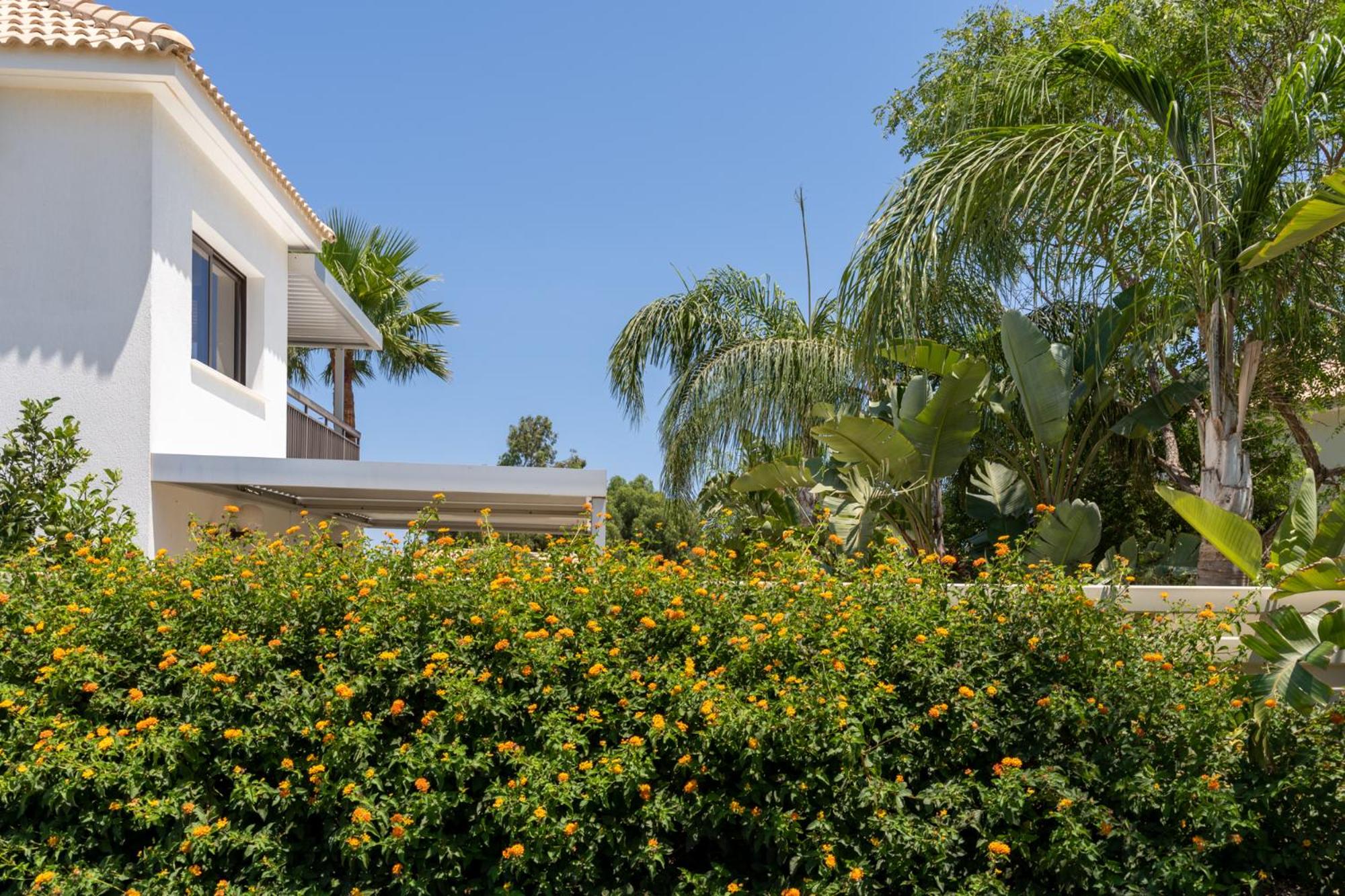 Lime 3-Bedroom Villa in Protaras