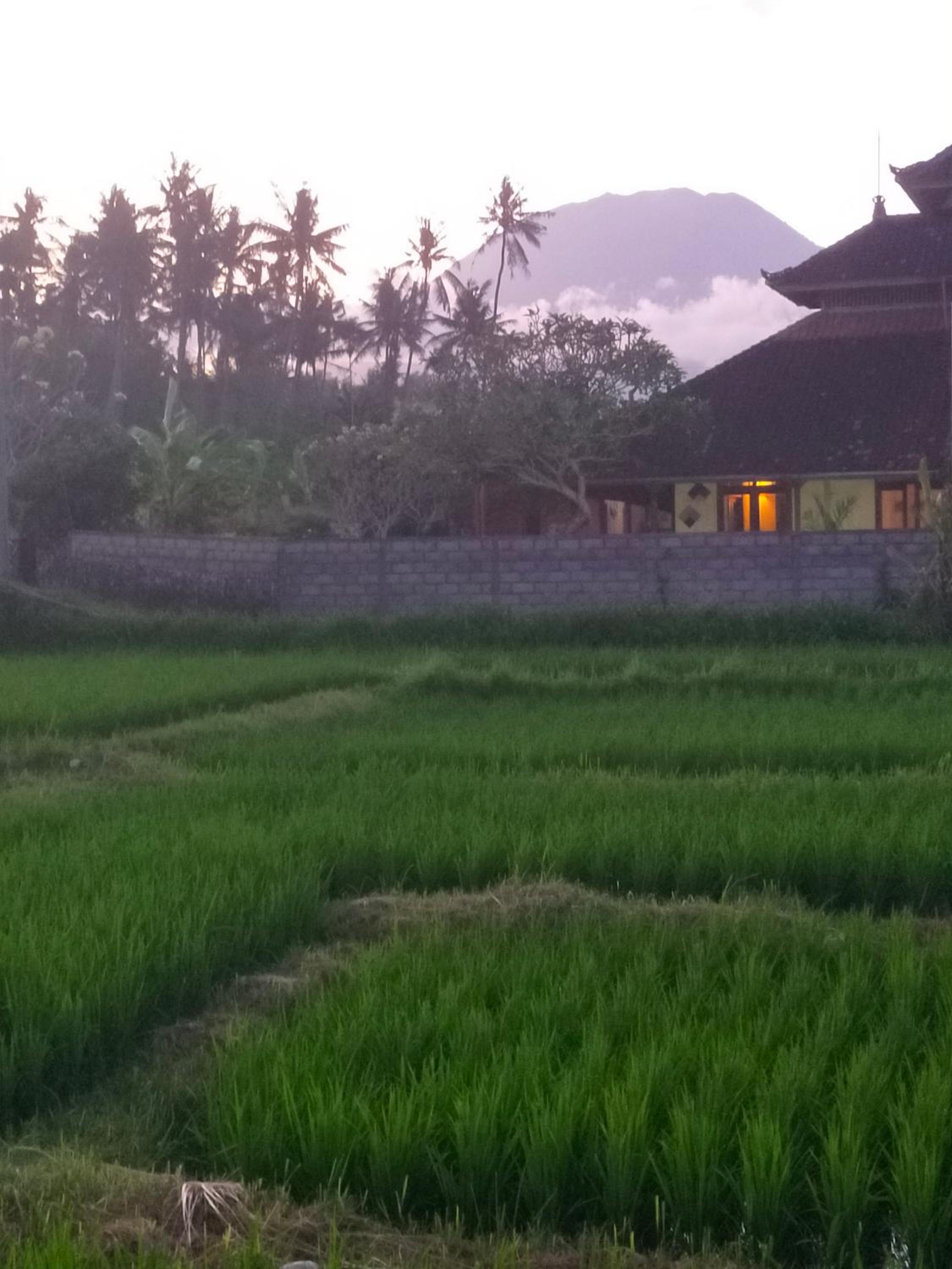 Limun guesthouse
