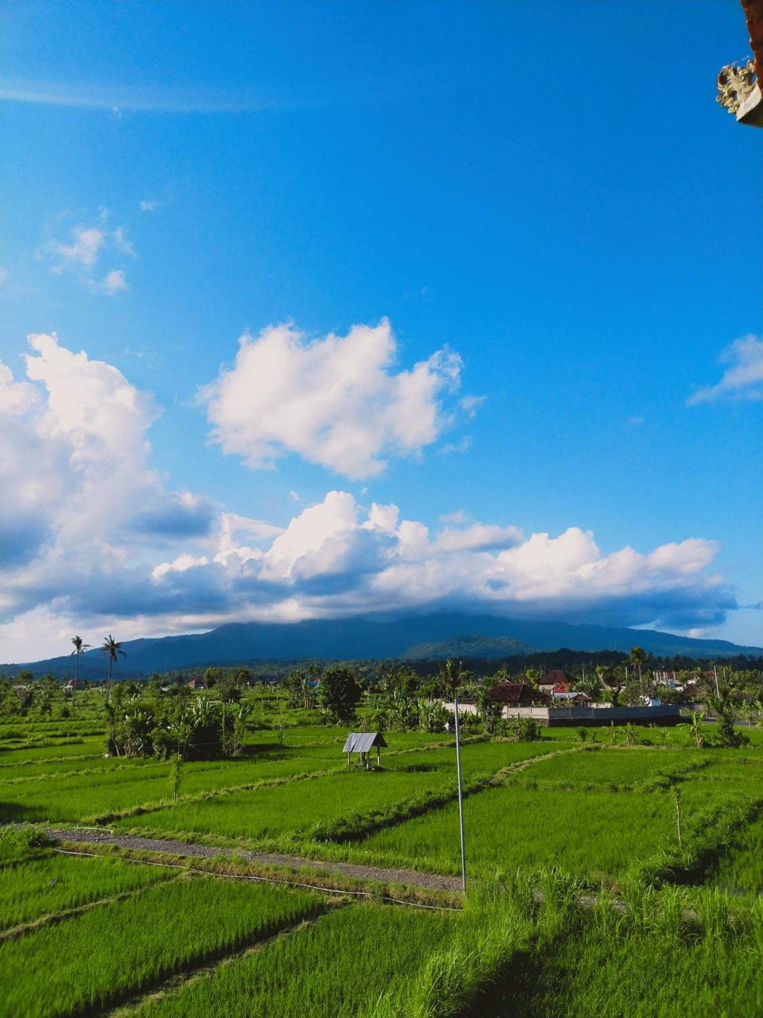 Limun guesthouse