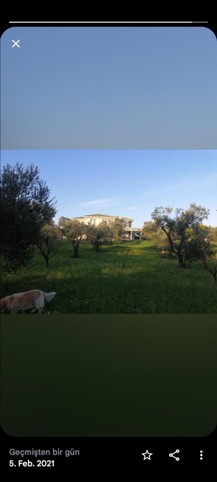 Urla Villa