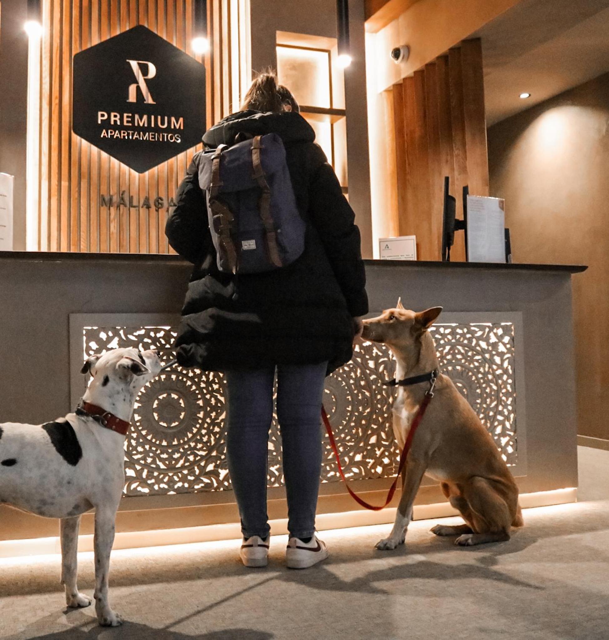 Apartamentos Málaga Premium - Calle San Telmo