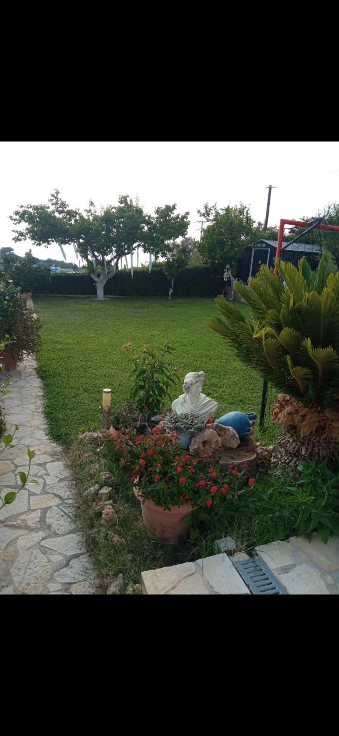 Efi Pool & View Alepochori i