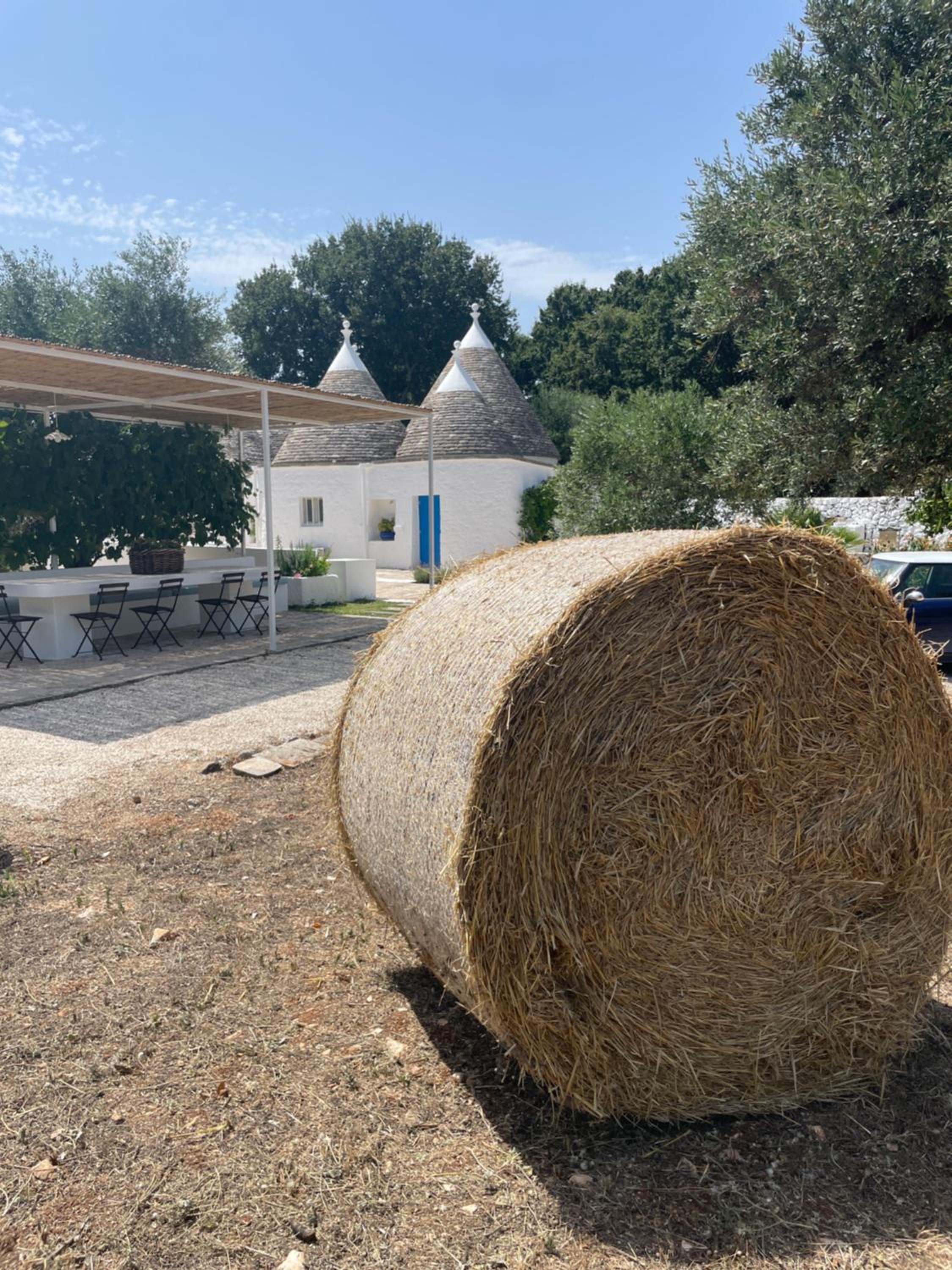 trulli mancinella