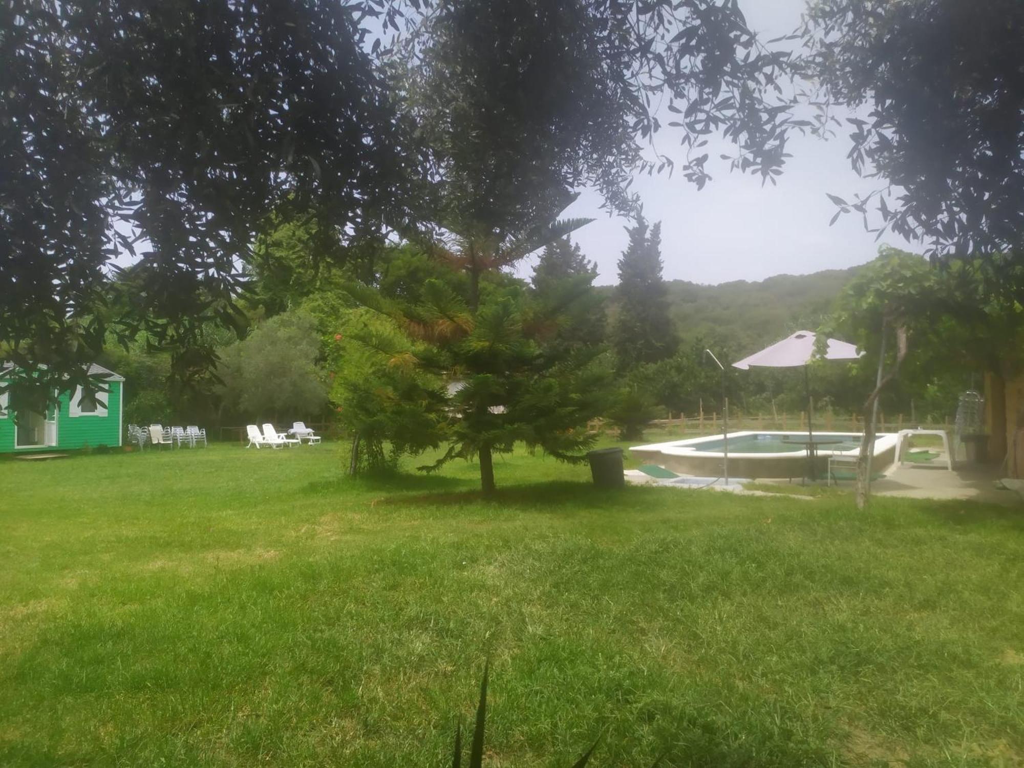Photo 37