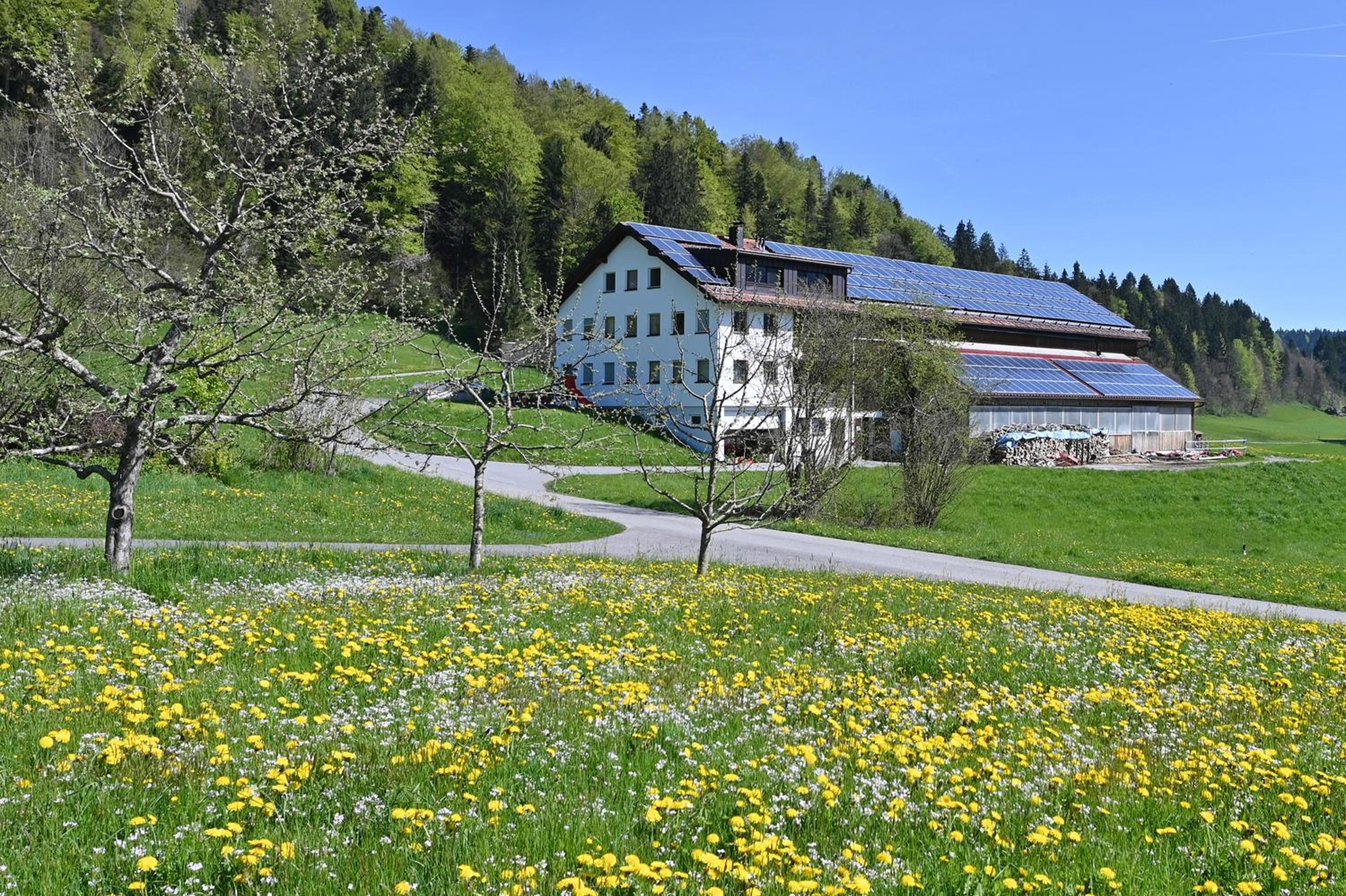 AuszeitHof Vögel