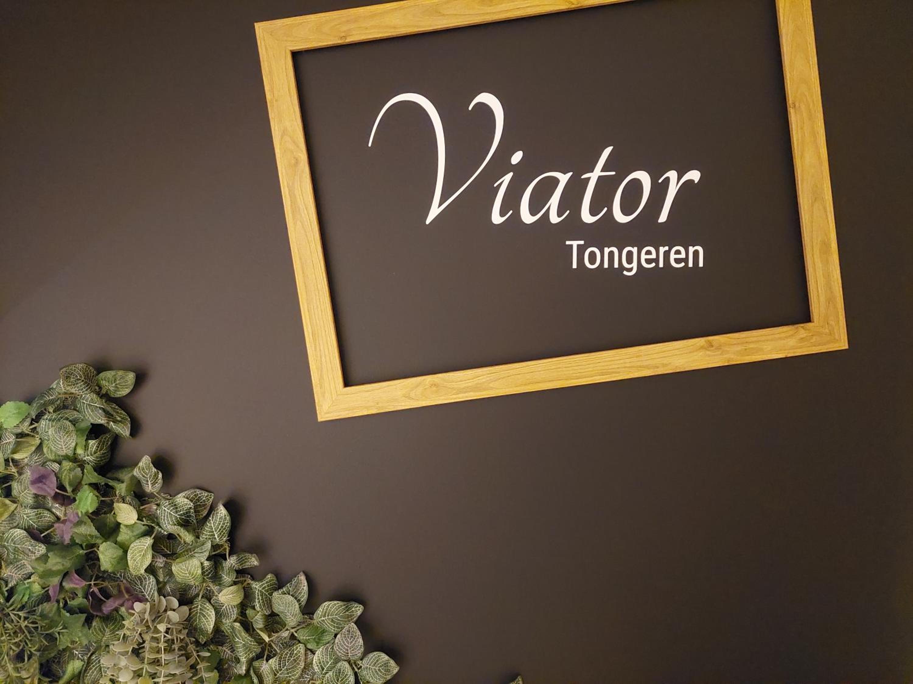 Viator Holidayhome