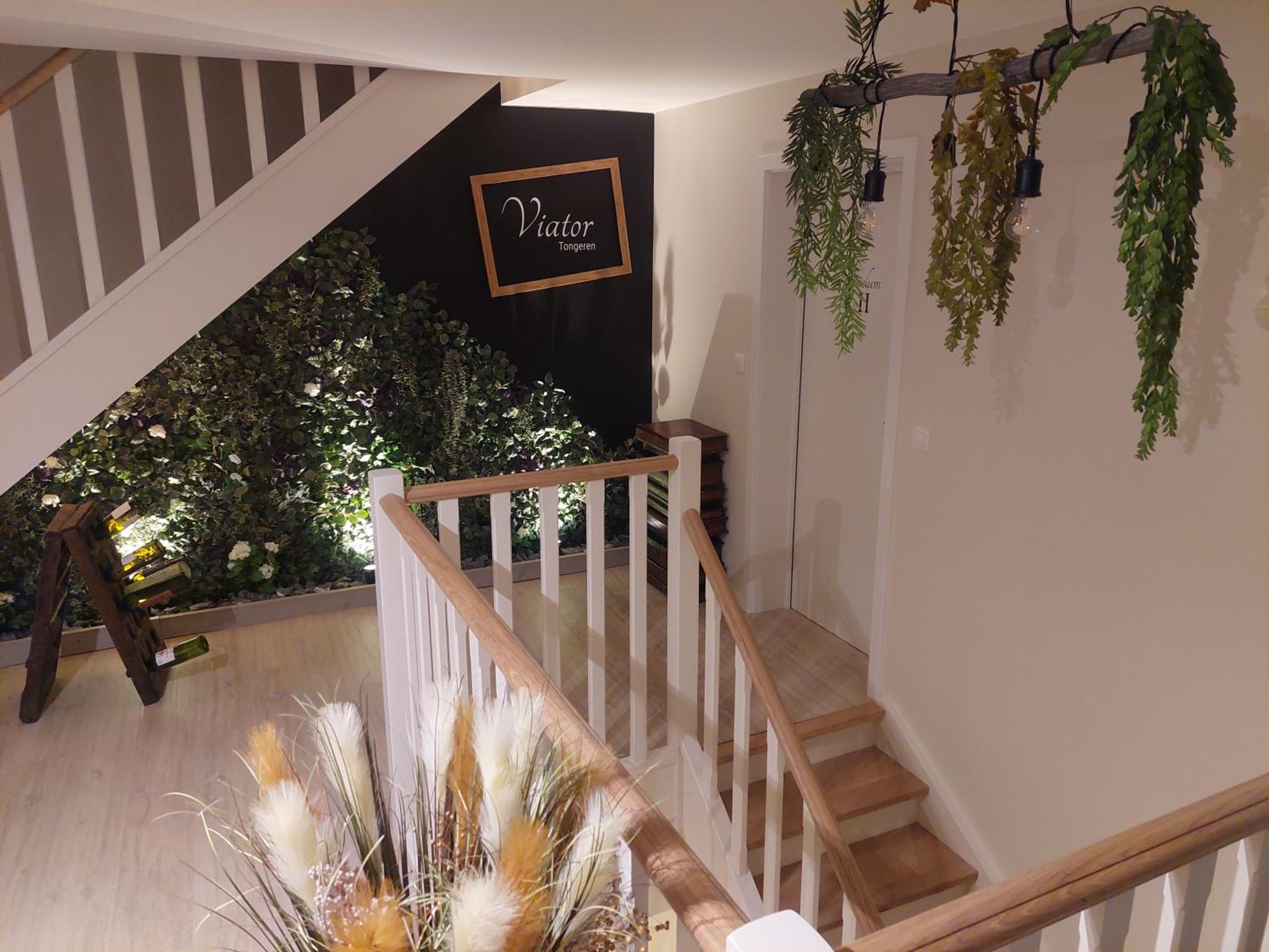 Viator Holidayhome