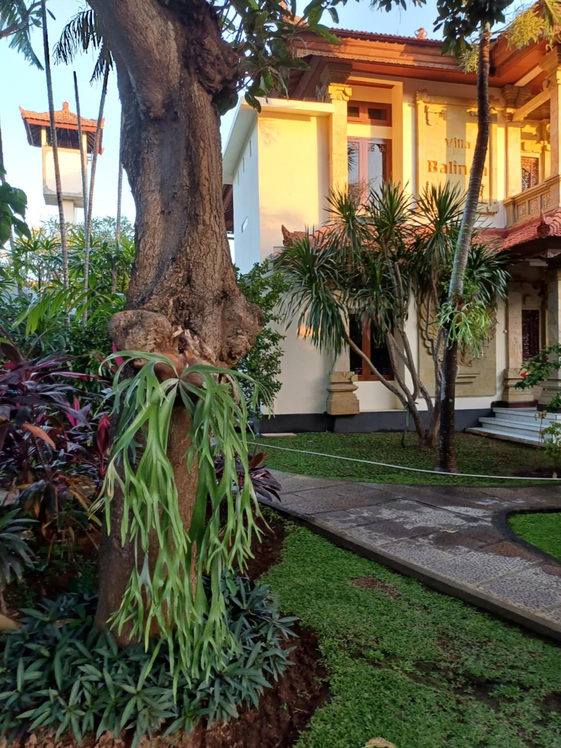 Balinda Rooms & Villa