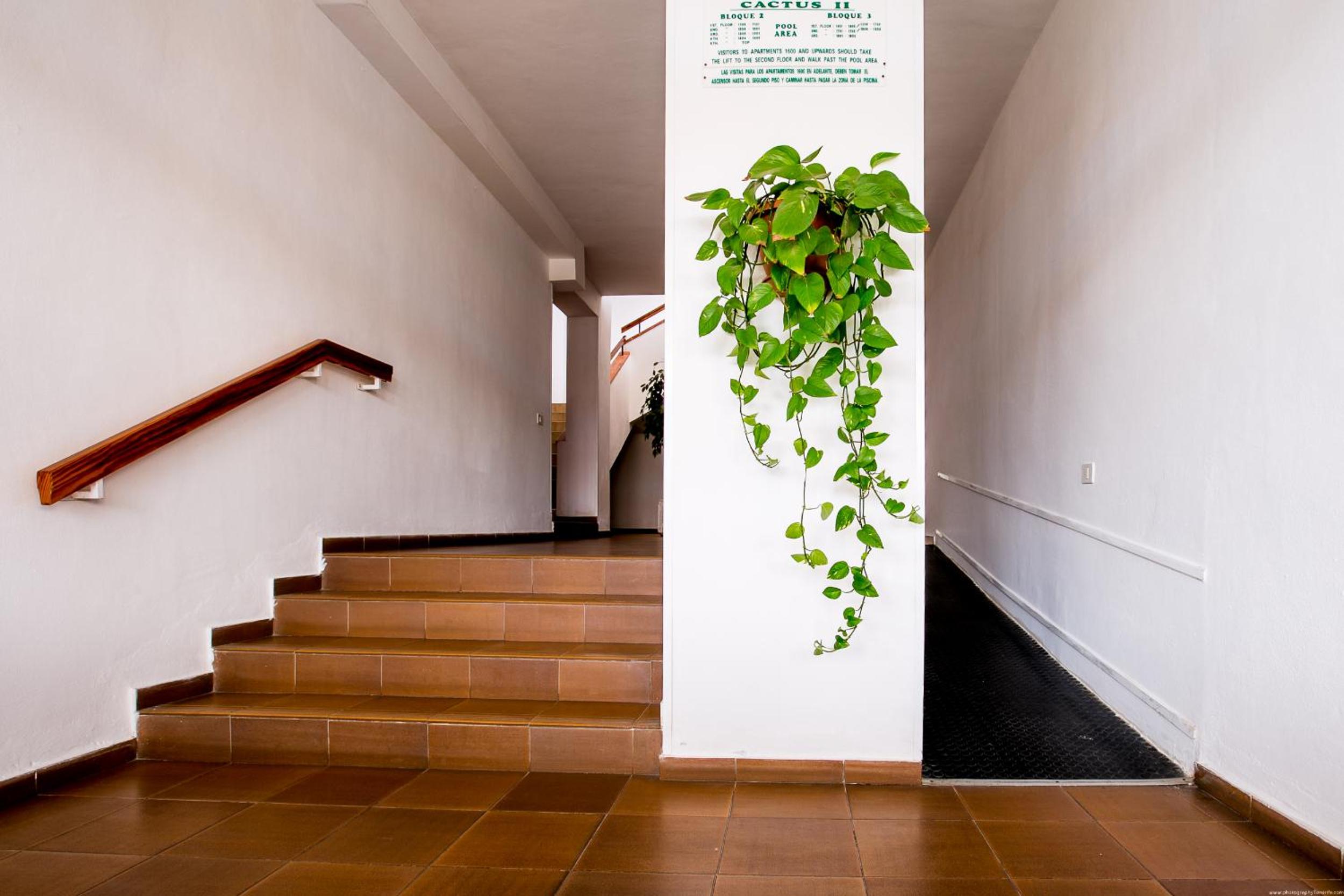 Apartmento Cactus II view 3