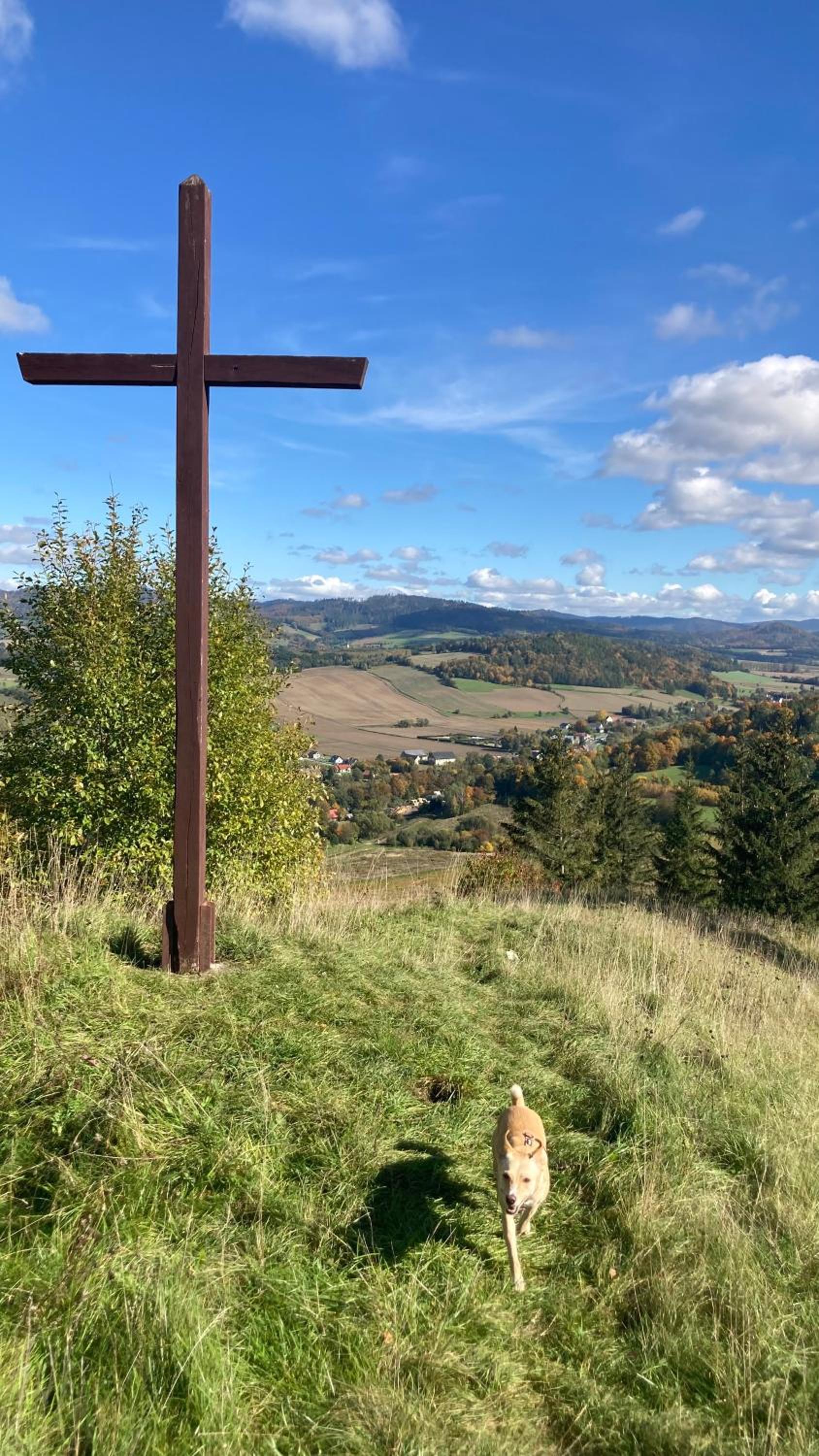 Photo 35