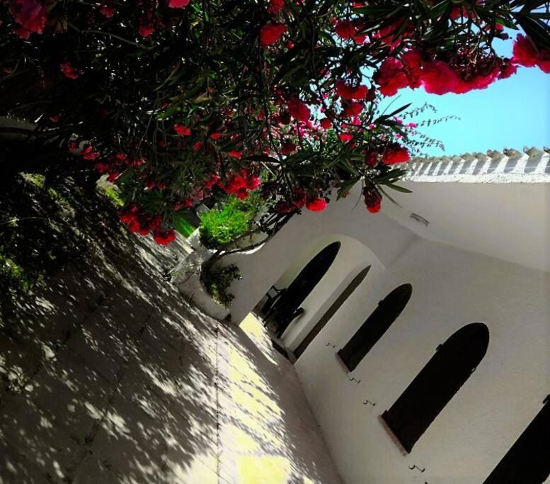 Indipendent villa at only 100 mt. from the beach view 2