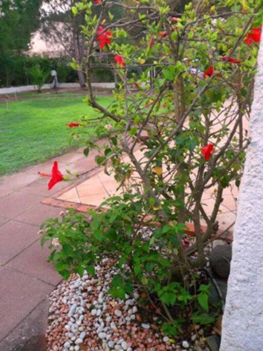 Photo 21