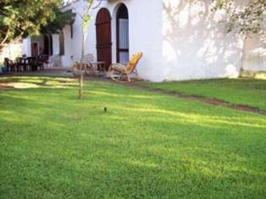 Photo 33