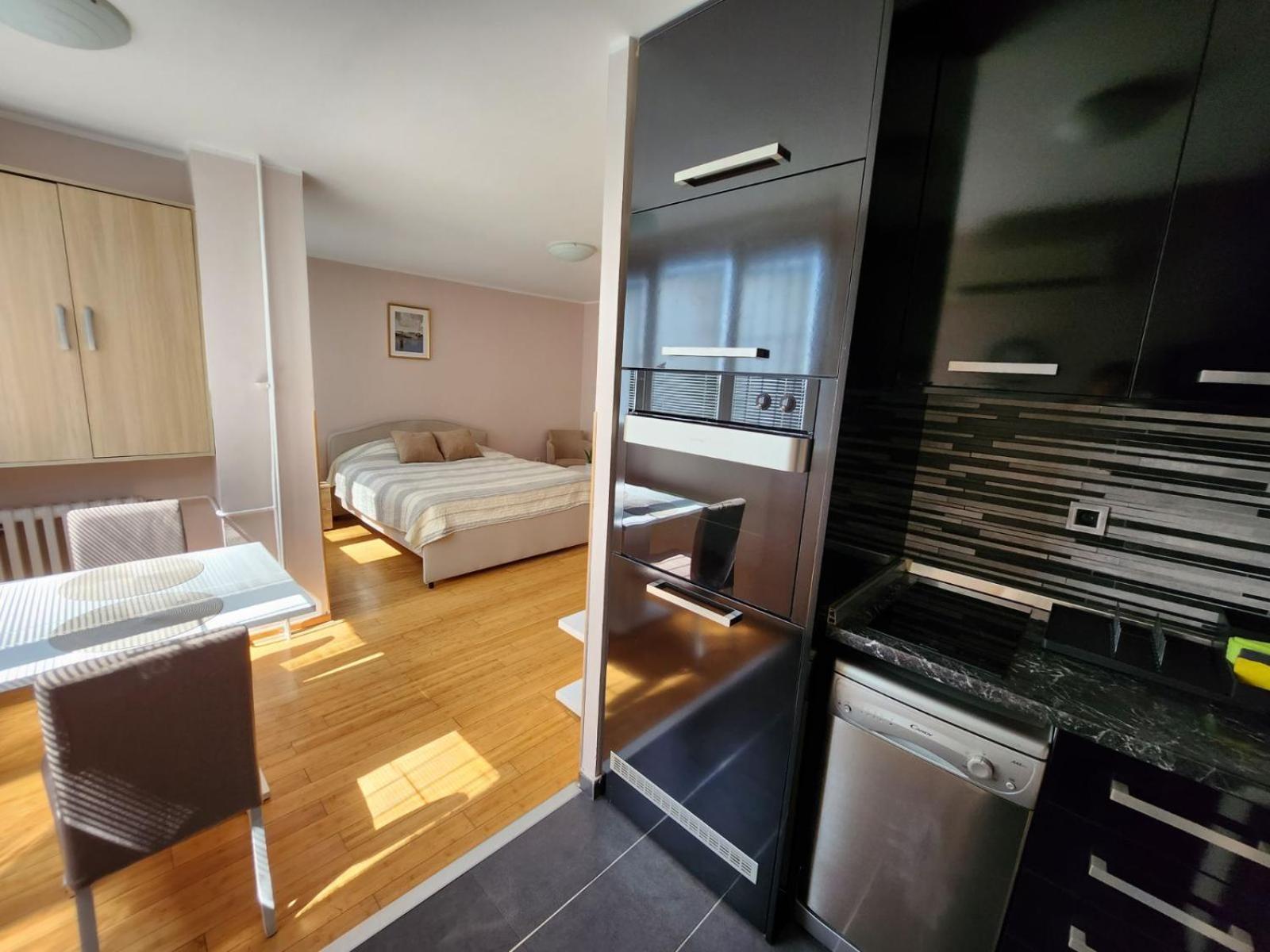Morning Wood - Panorama view 3