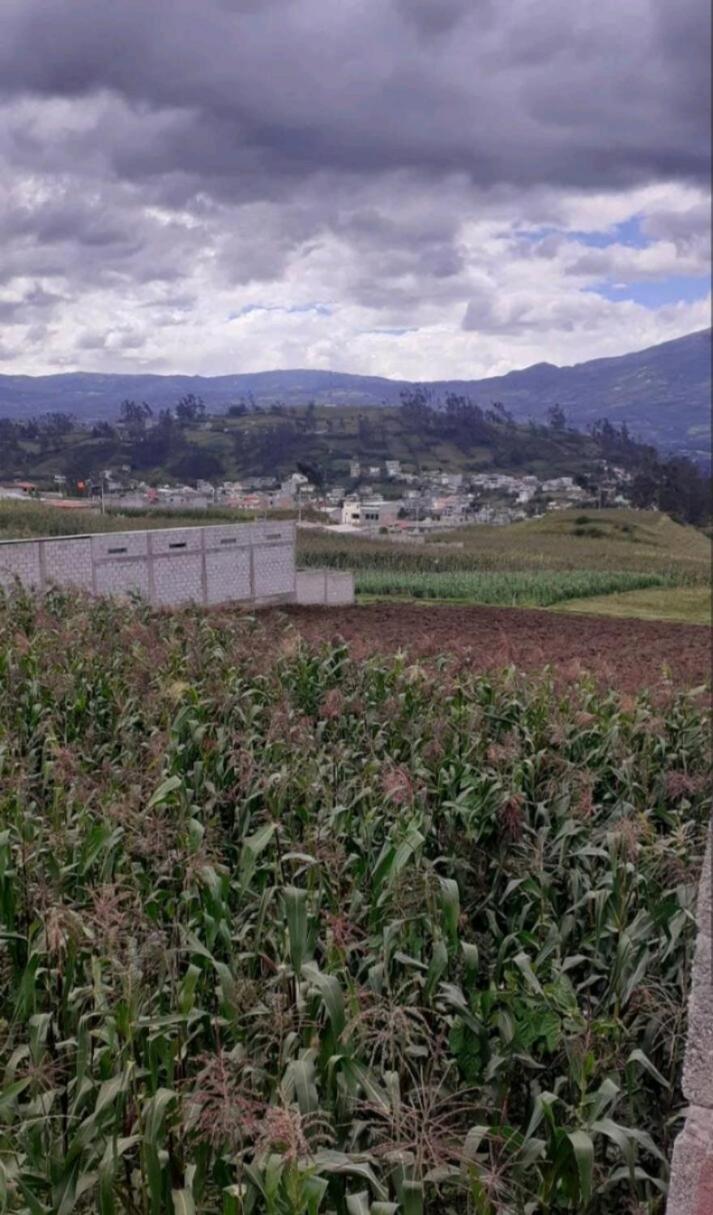 Casas campestre en un lugar encantador a las faldas del Taita Imbabura