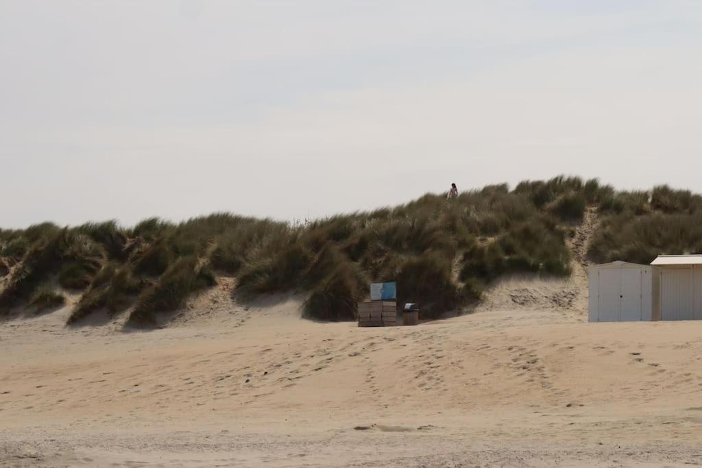 App op steenworp van golf&strand
