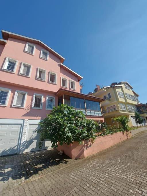 Karadeniz Doğa Manzaralı Villa