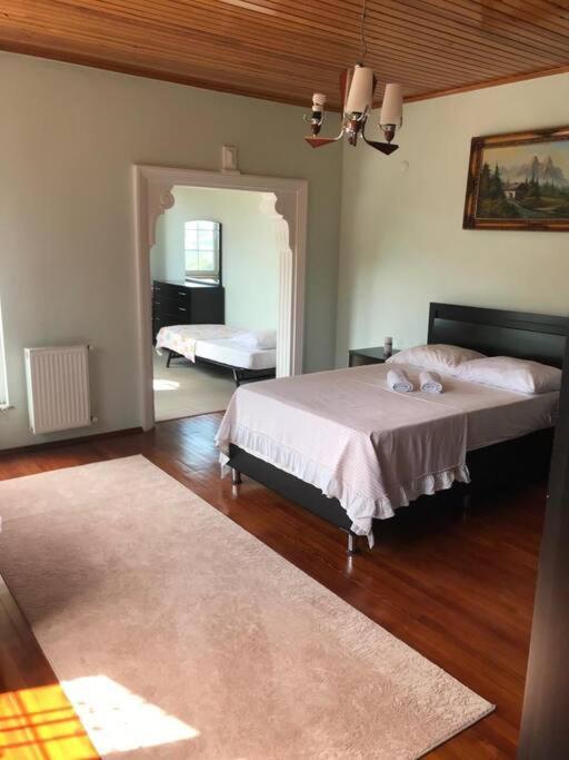 Karadeniz Doğa Manzaralı Villa