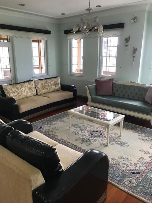 Karadeniz Doğa Manzaralı Villa