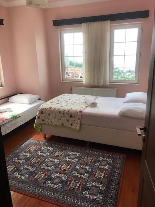 Karadeniz Doğa Manzaralı Villa