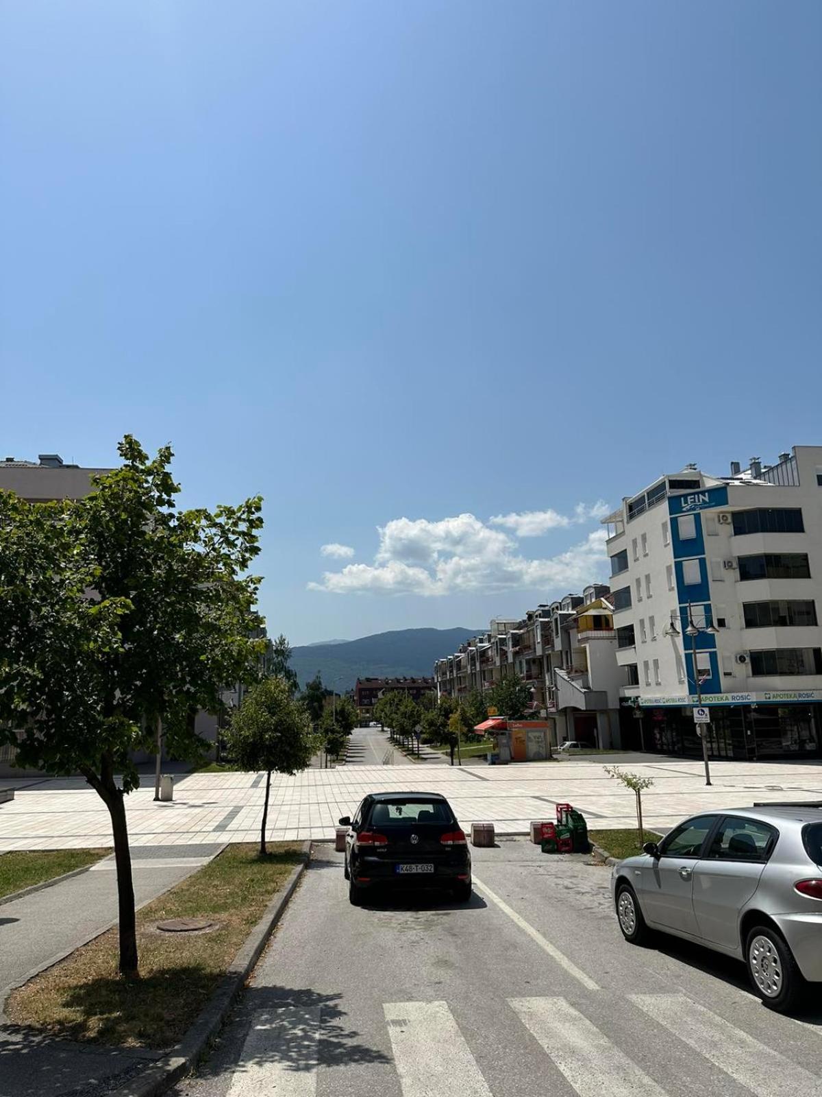 Fauna apartment