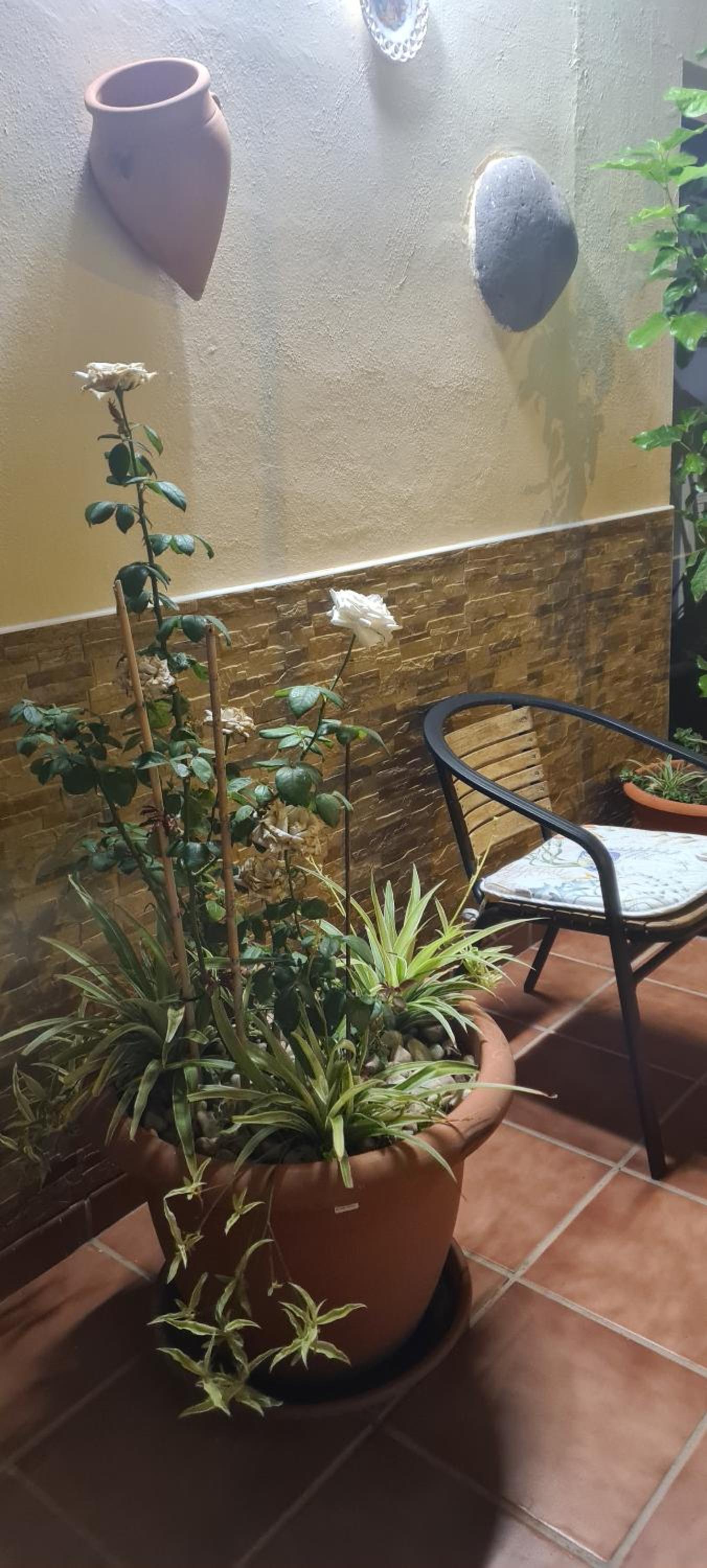 Apartamentos Siboramar L1 Moby Dick