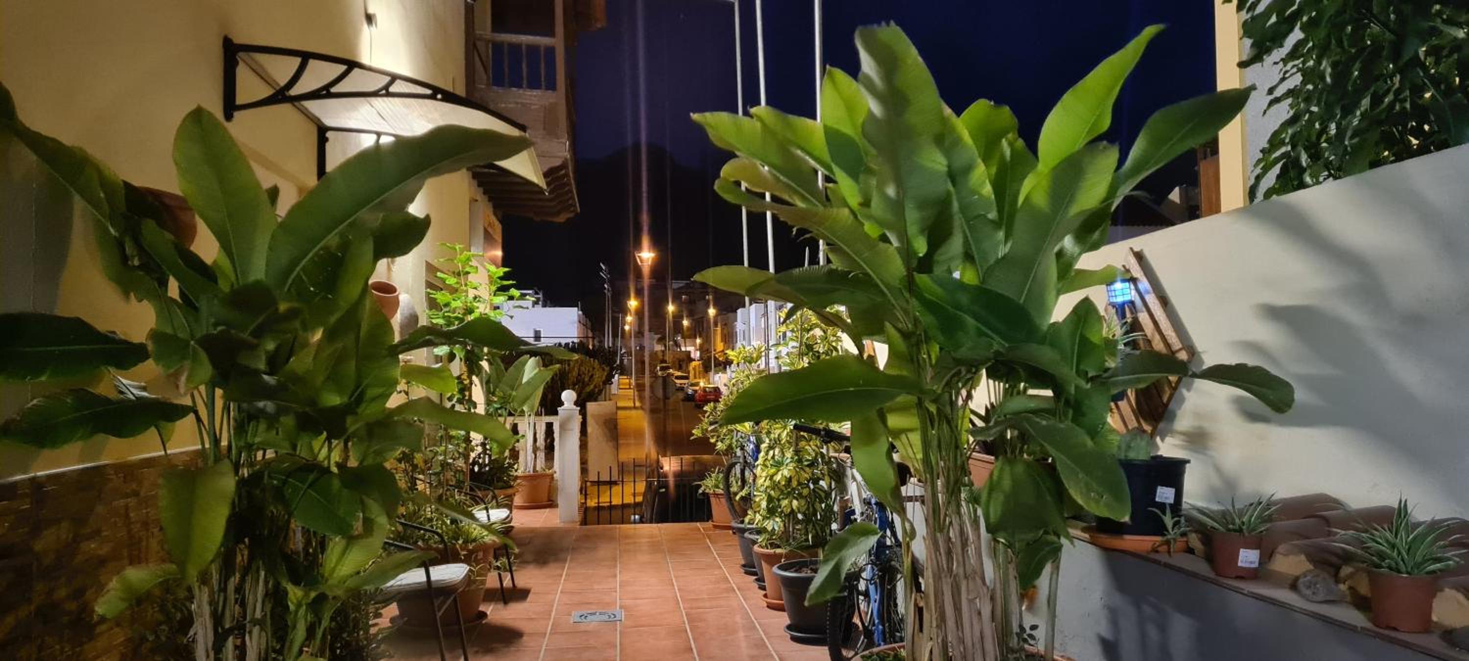 Apartamentos Siboramar L1 Moby Dick