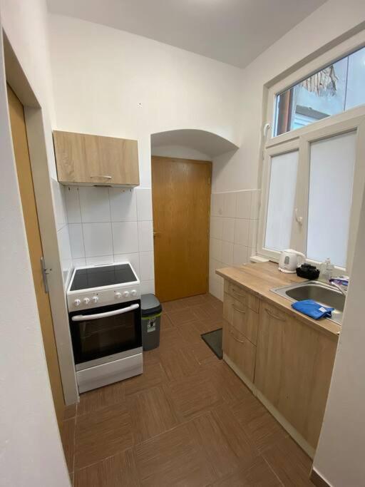 Cozy 1 BR studio in the center of Pilsen