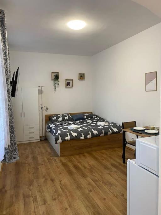 Cozy 1 BR studio in the center of Pilsen