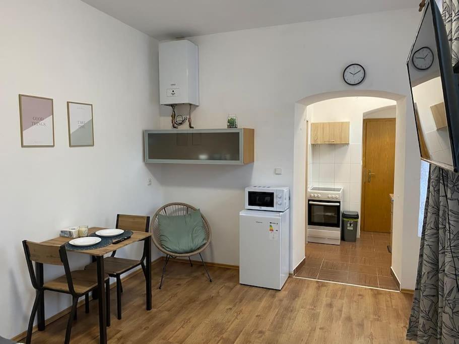 Cozy 1 BR studio in the center of Pilsen