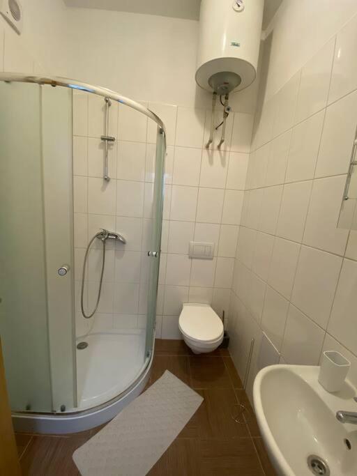 Cozy 1 BR studio in the center of Pilsen