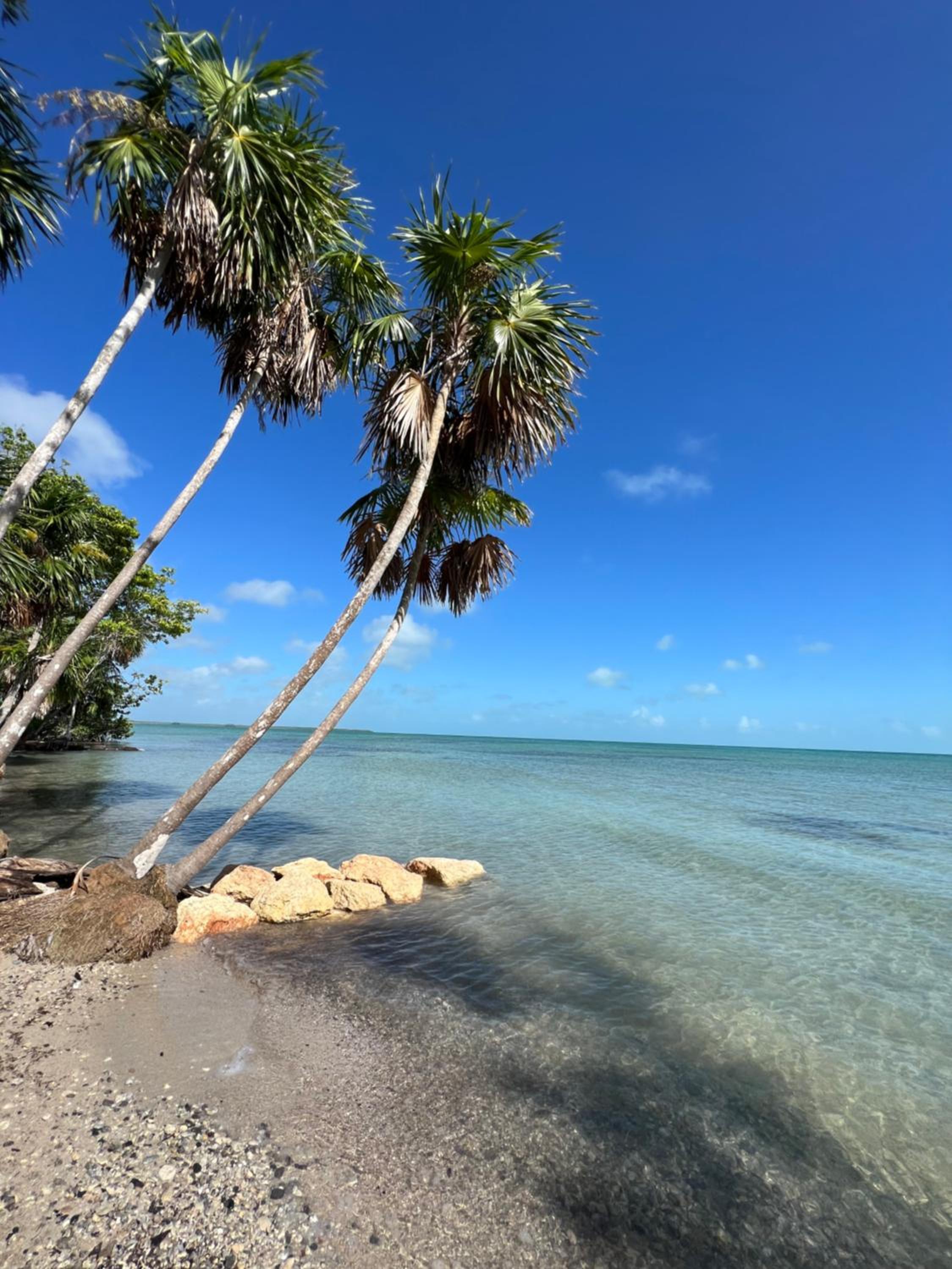 Belizima Eco Resort