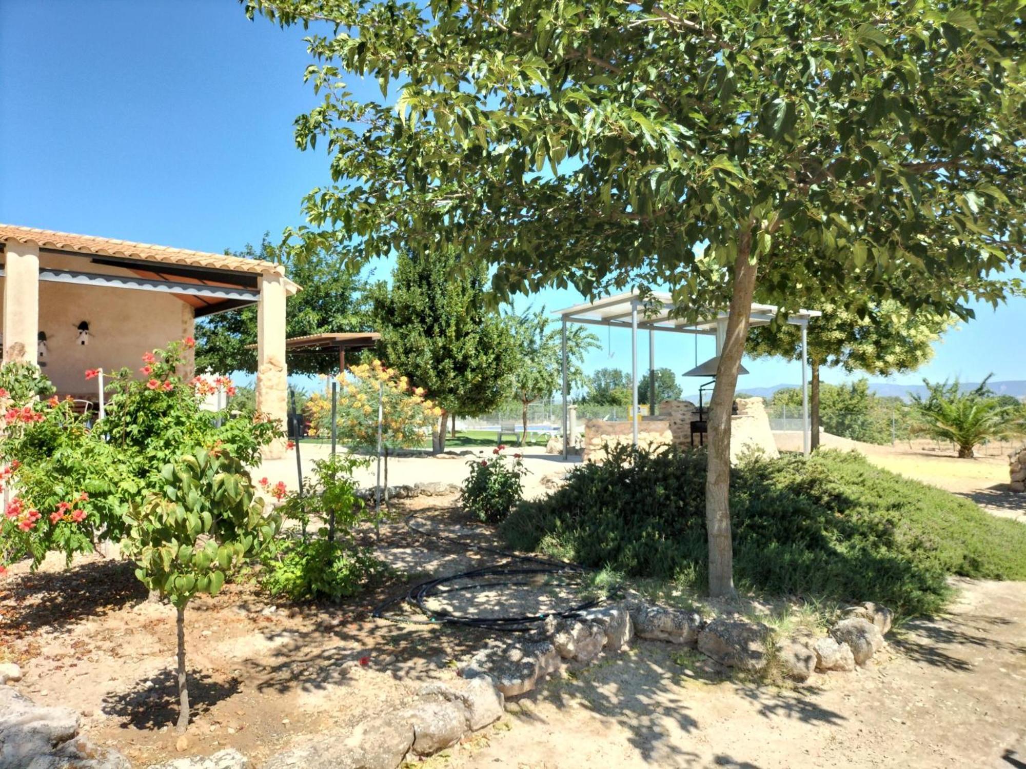 Photo 20