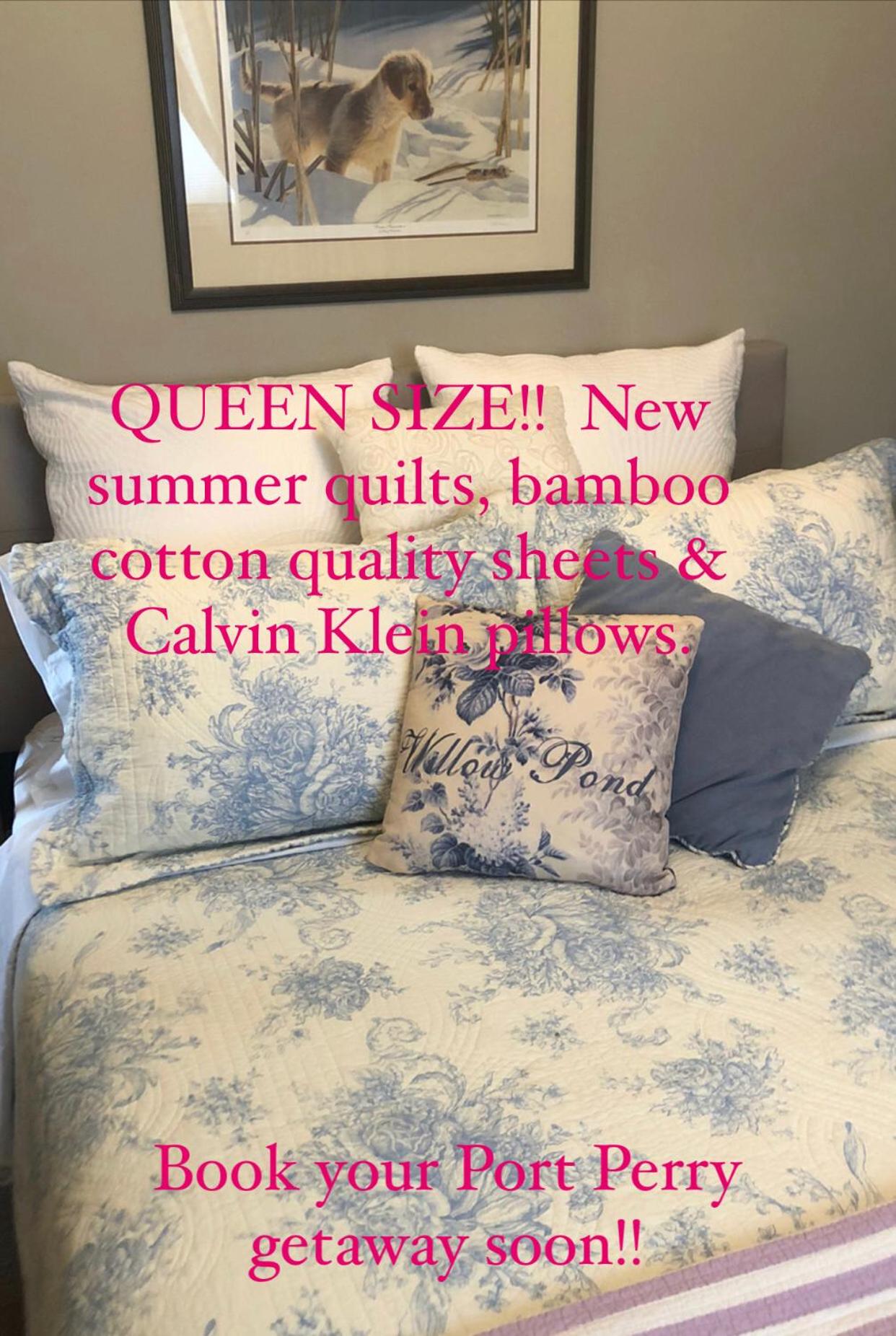 Willow Pond Satellite B&B